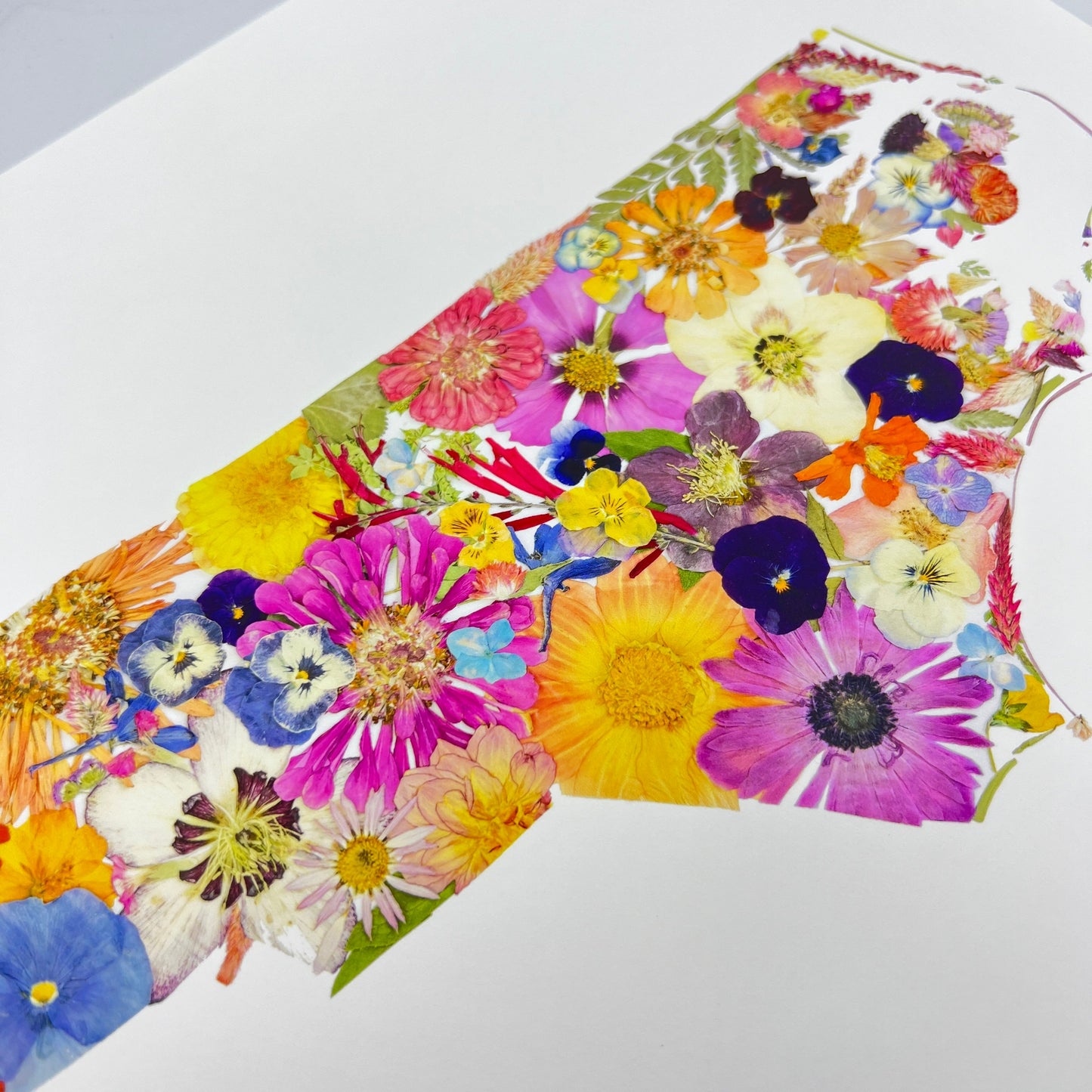 North Carolina Themed Giclée Print - "Where I Bloom" Collection Giclee Art Print 1818 Farms