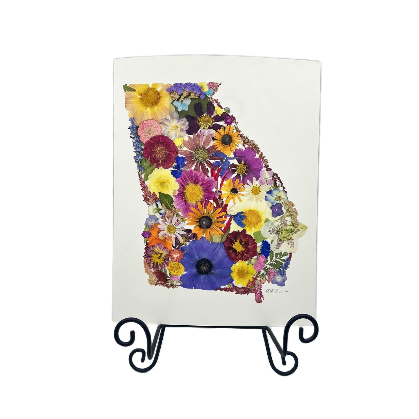 Georgia Themed Giclée Print - "Where I Bloom" Collection Giclee Art Print 1818 Farms