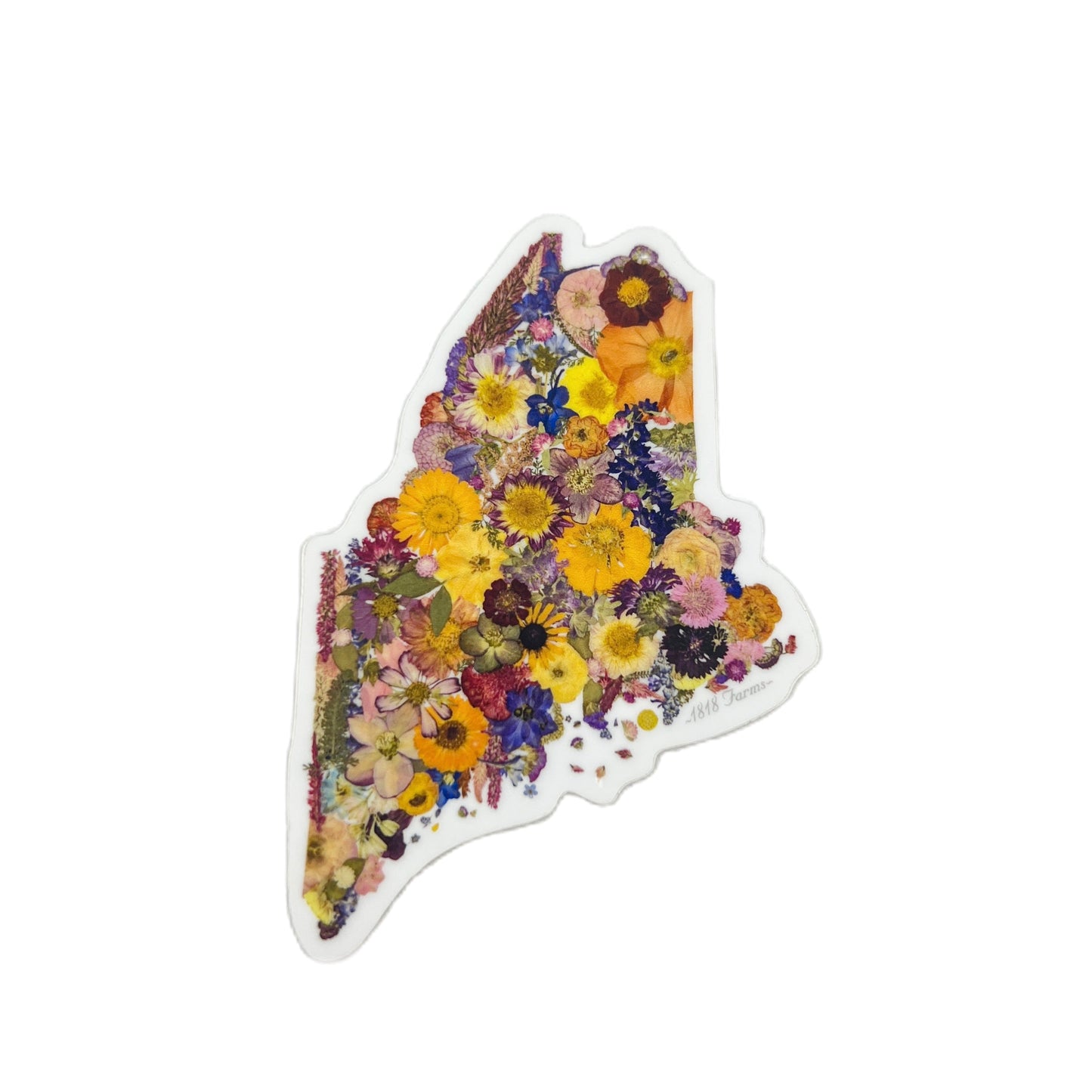 Maine Themed Vinyl Sticker - "Where I Bloom" Collection Vinyl Sticker 1818 Farms