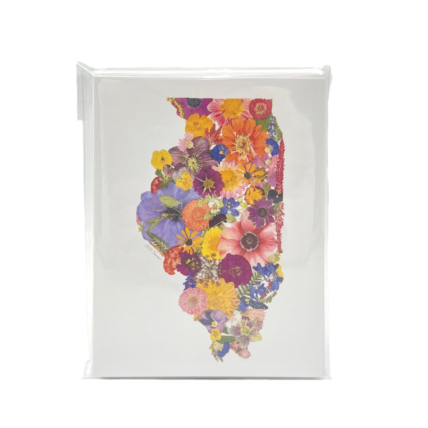 Illinois Themed Notecards (Set of 6) - "Where I Bloom" Collection Notecard 1818 Farms