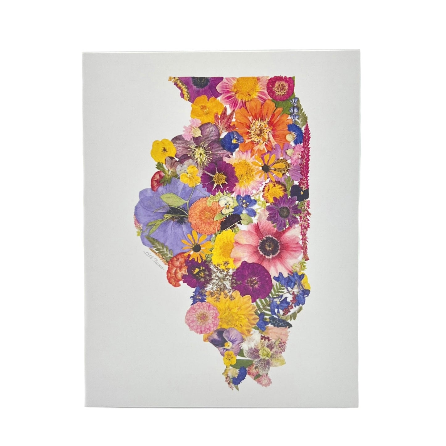 State Themed Notecards (Set of 6) - "Where I Bloom" Collection Notecard 1818 Farms Illinois