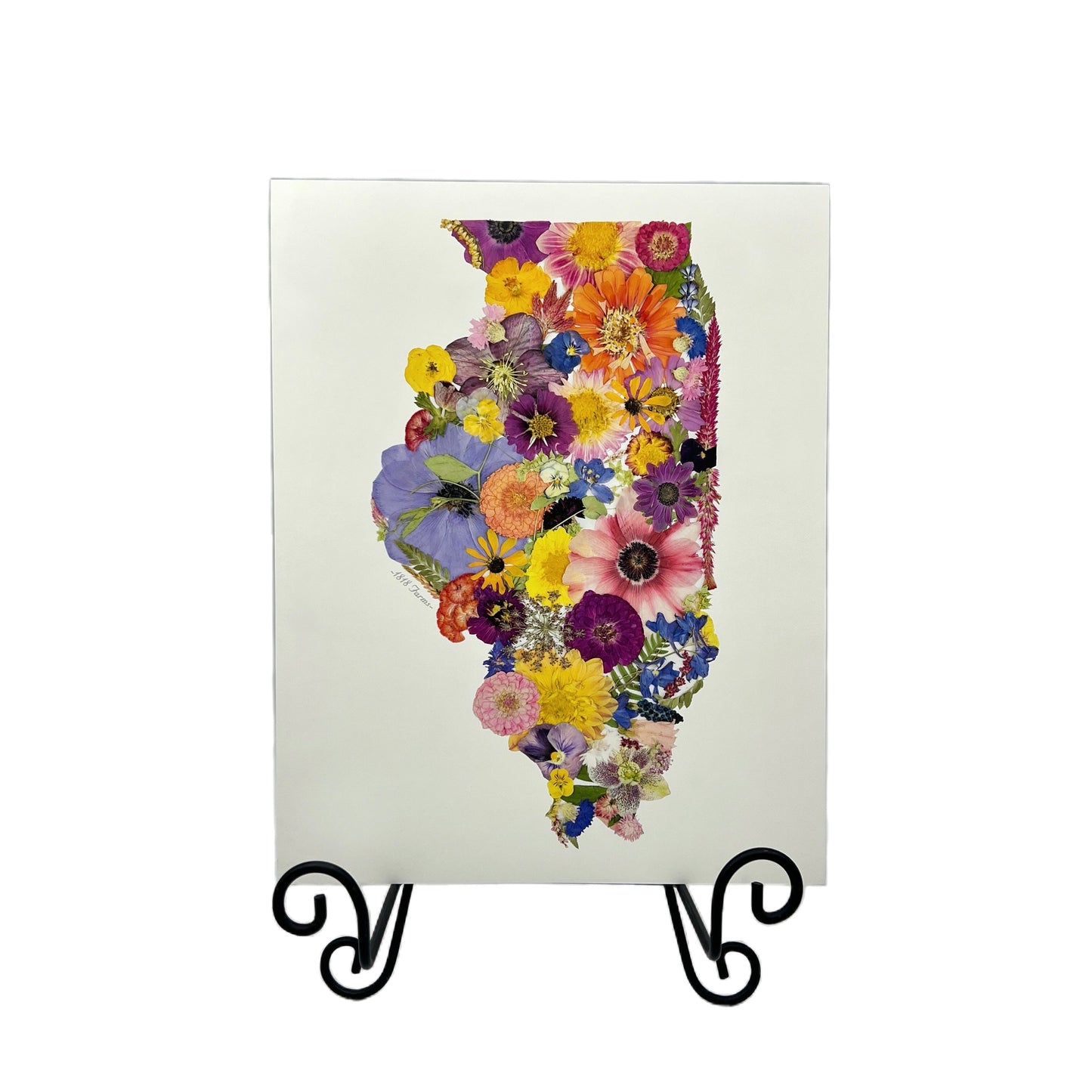 Illinois Themed Giclée Print - "Where I Bloom" Collection Giclee Art Print 1818 Farms
