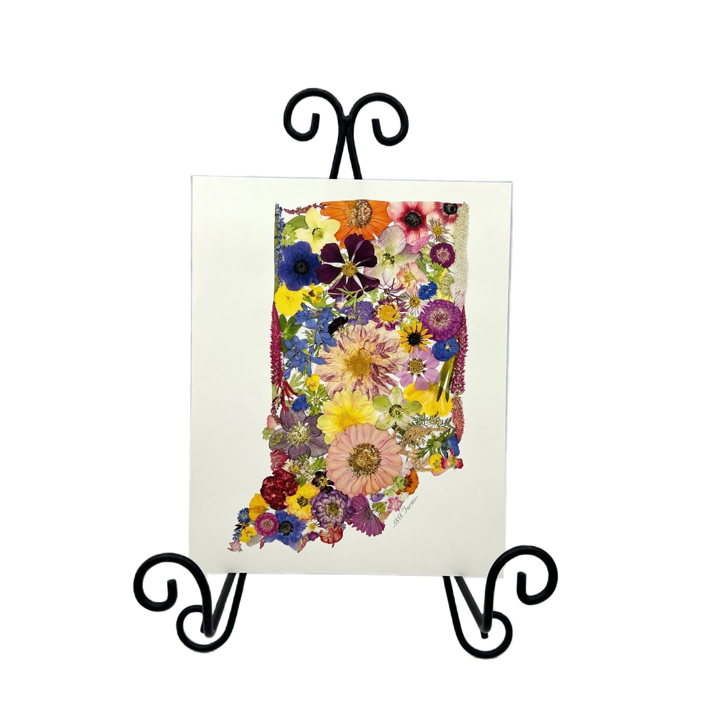 Indiana Themed Giclée Print - "Where I Bloom" Collection Giclee Art Print 1818 Farms
