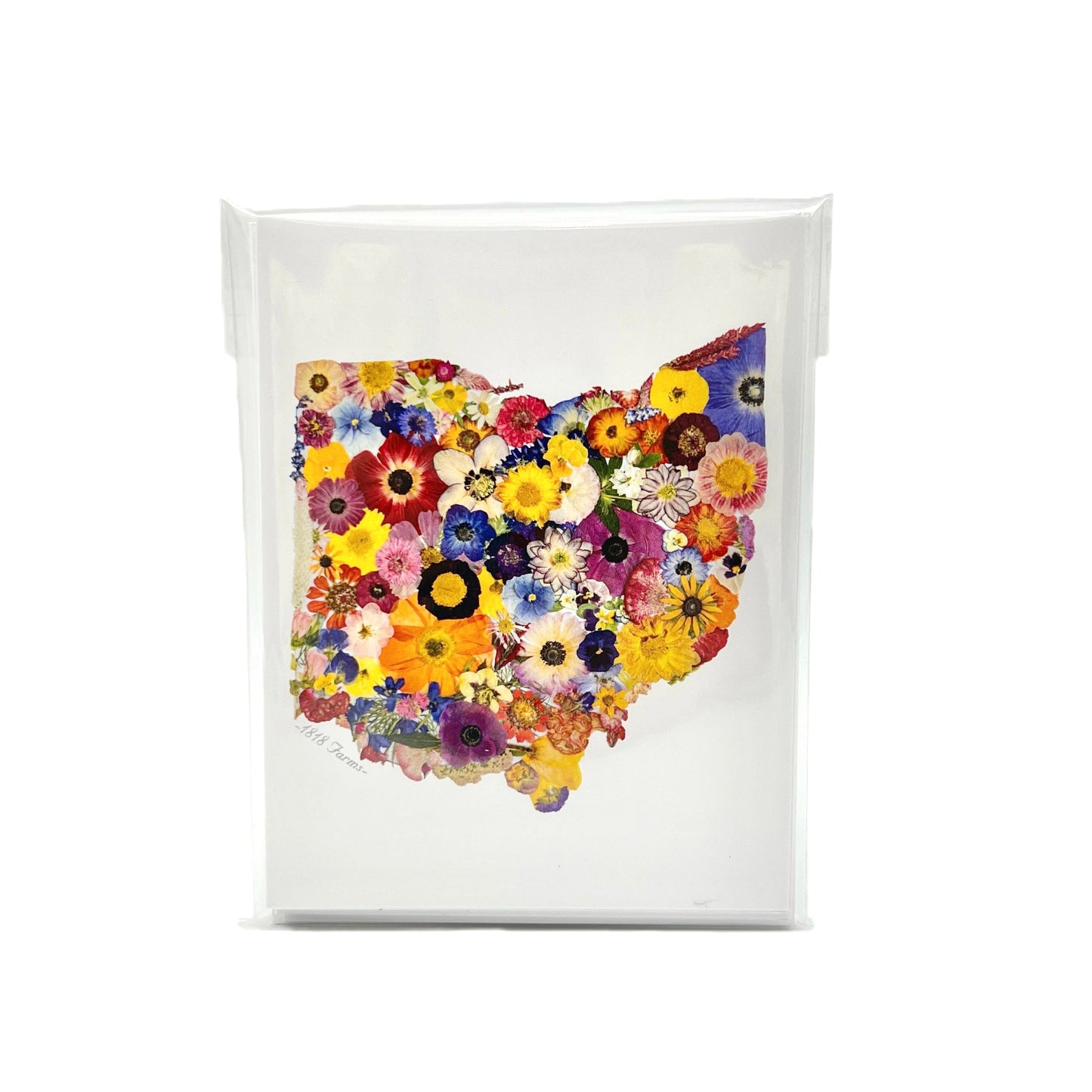 Ohio Themed Notecards (Set of 6) - "Where I Bloom" Collection Notecard 1818 Farms