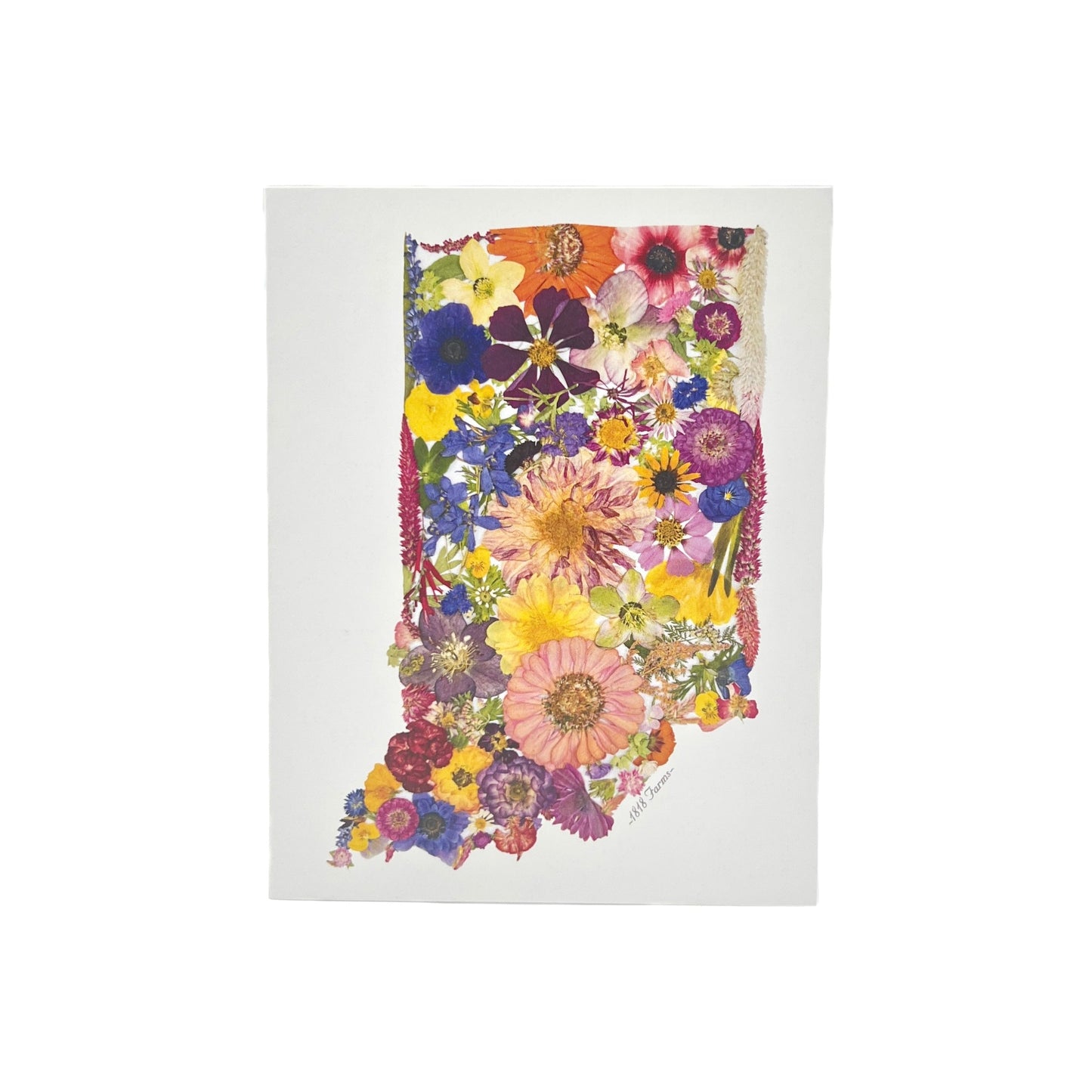 State Themed Notecards (Set of 6) - "Where I Bloom" Collection Notecard 1818 Farms Indiana