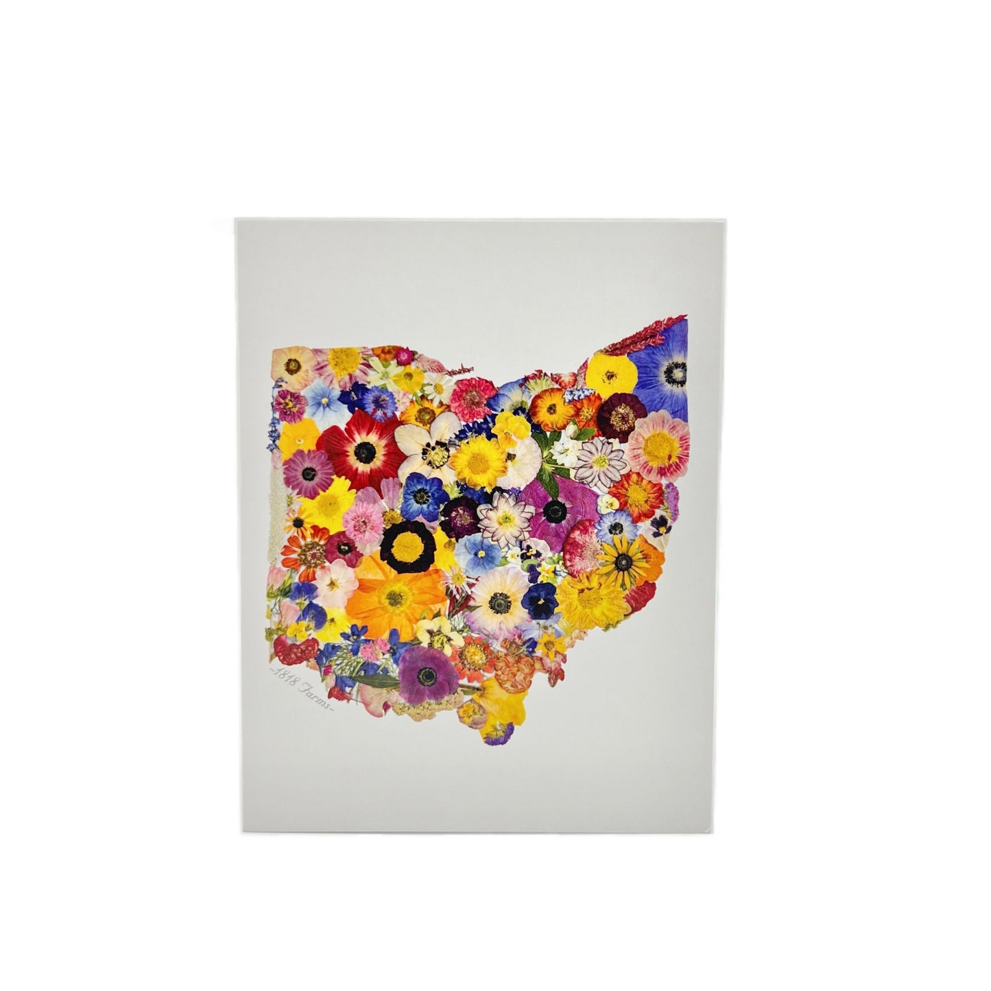 State Themed Notecards (Set of 6) - "Where I Bloom" Collection Notecard 1818 Farms Ohio