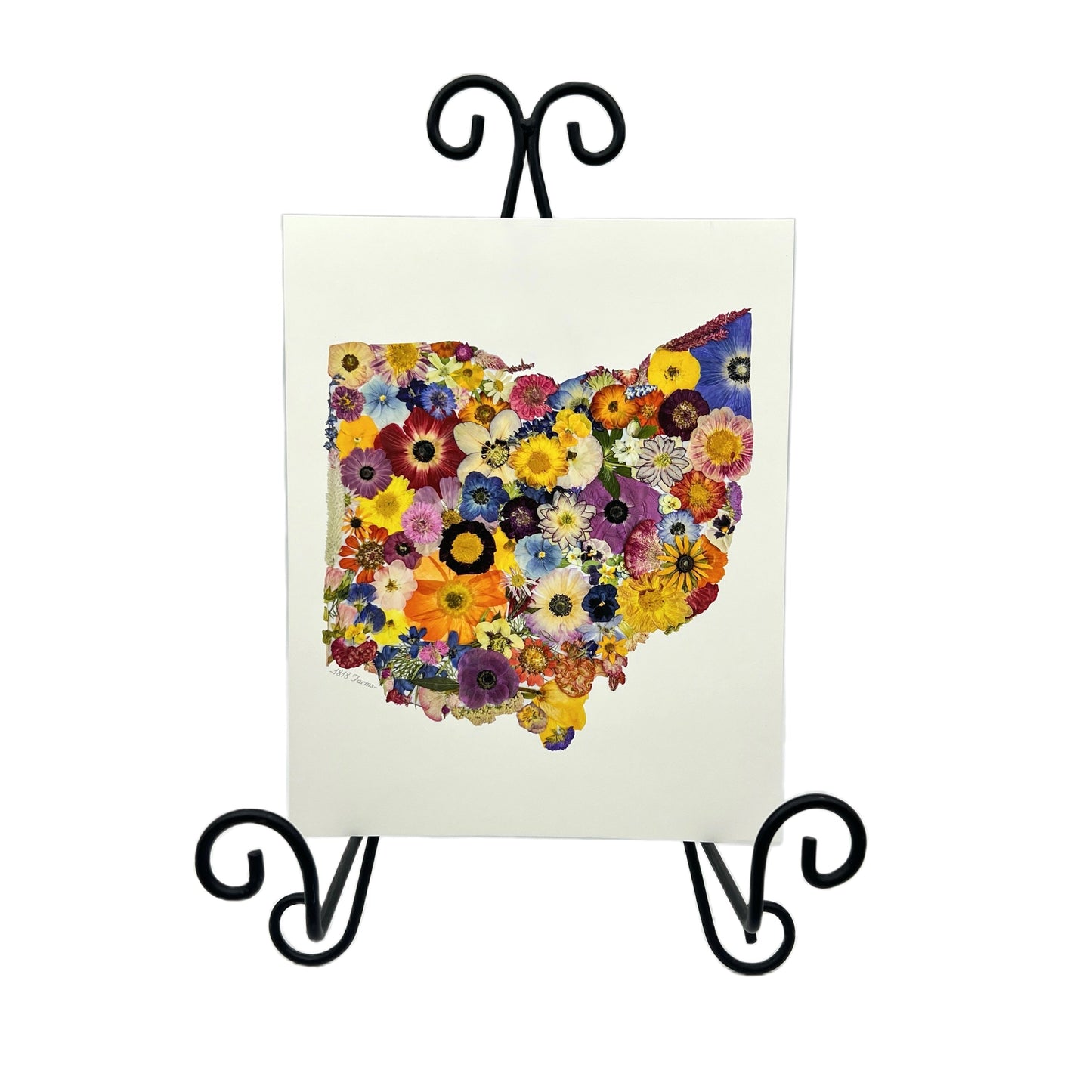 Ohio Themed Giclée Print - "Where I Bloom" Collection Giclee Art Print 1818 Farms