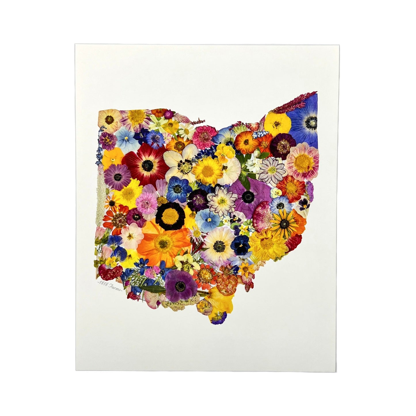 State Themed Giclée Print 11" x "14 - "Where I Bloom" Collection Giclee Art Print 1818 Farms Ohio