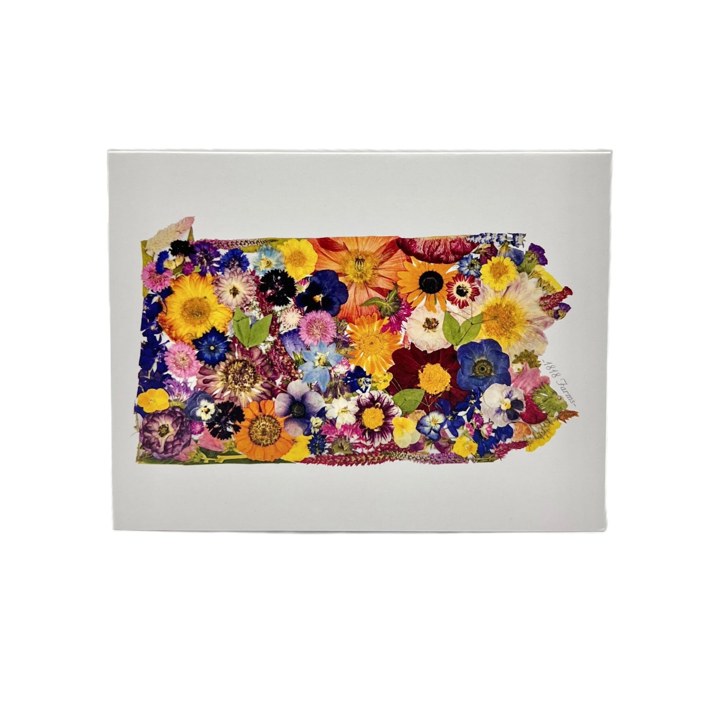 State Themed Notecards (Set of 6) - "Where I Bloom" Collection Notecard 1818 Farms Pennsylvania