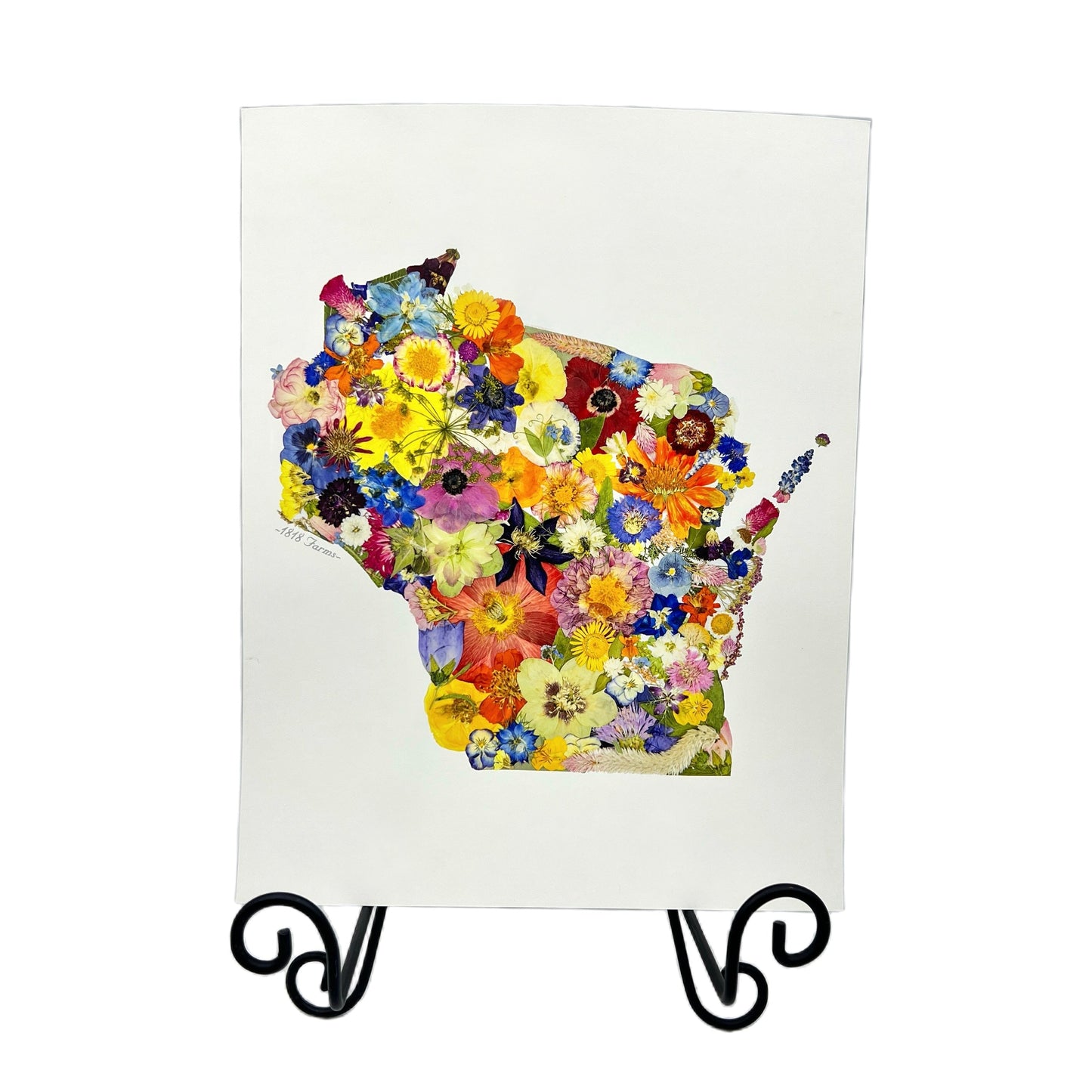 Wisconsin Themed Giclée Print - "Where I Bloom" Collection Giclee Art Print 1818 Farms