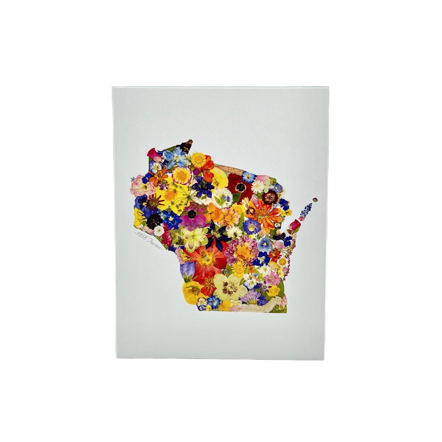 Wisconsin Themed Notecards (Set of 6) - "Where I Bloom" Collection Notecard 1818 Farms