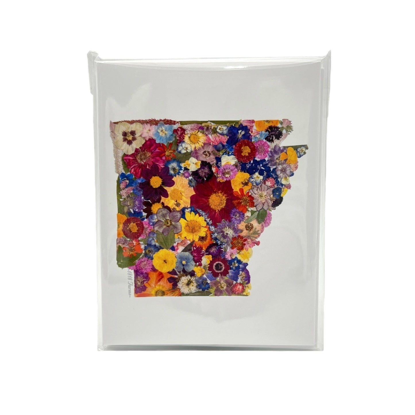 Arkansas Themed Notecards (Set of 6) - "Where I Bloom" Collection Notecard 1818 Farms