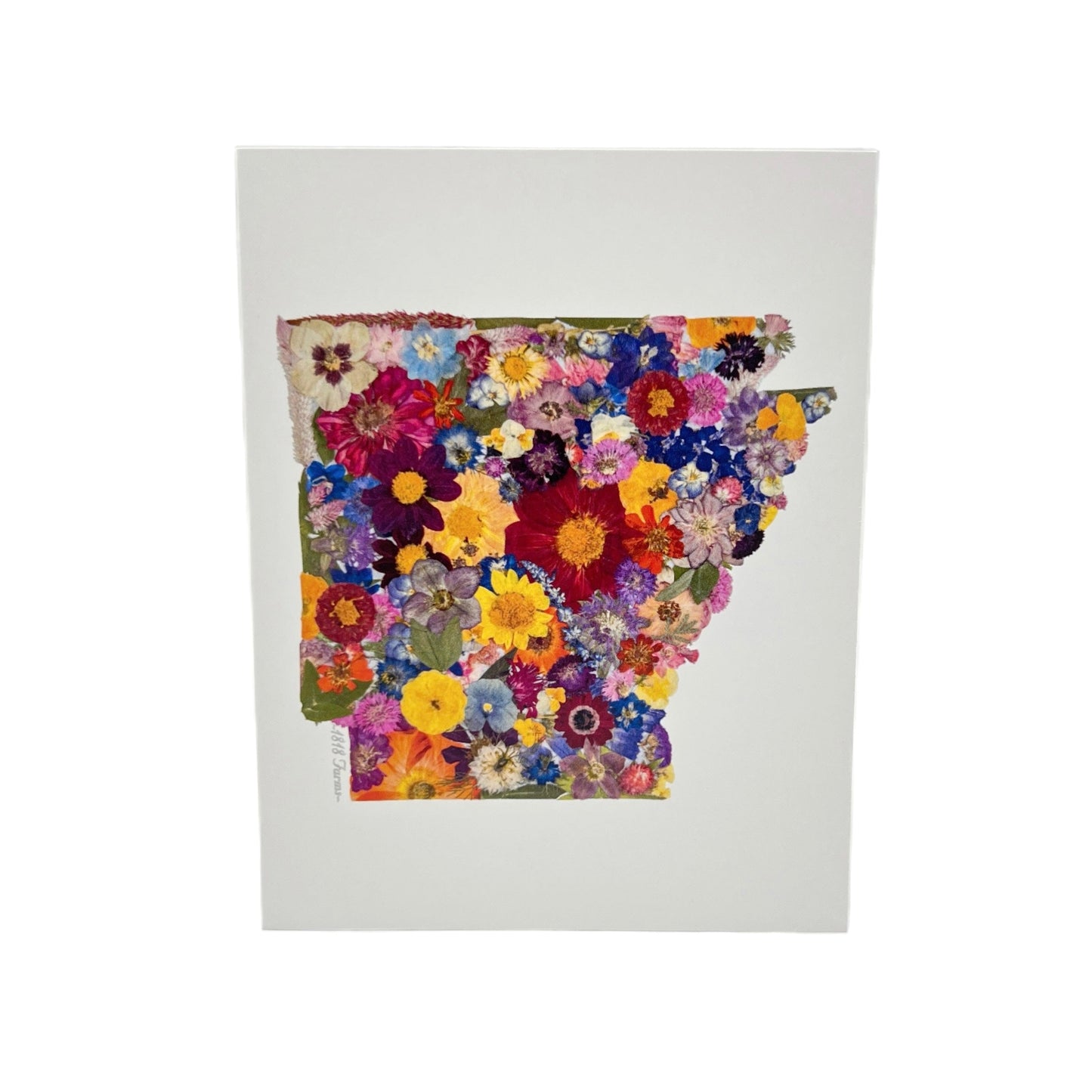 Arkansas Themed Notecards (Set of 6) - "Where I Bloom" Collection Notecard 1818 Farms