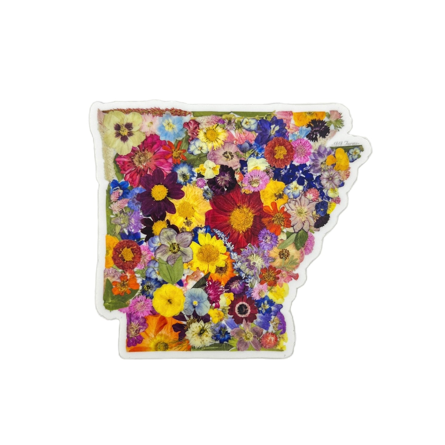 Arkansas Themed Vinyl Sticker - "Where I Bloom" Collection Vinyl Sticker 1818 Farms