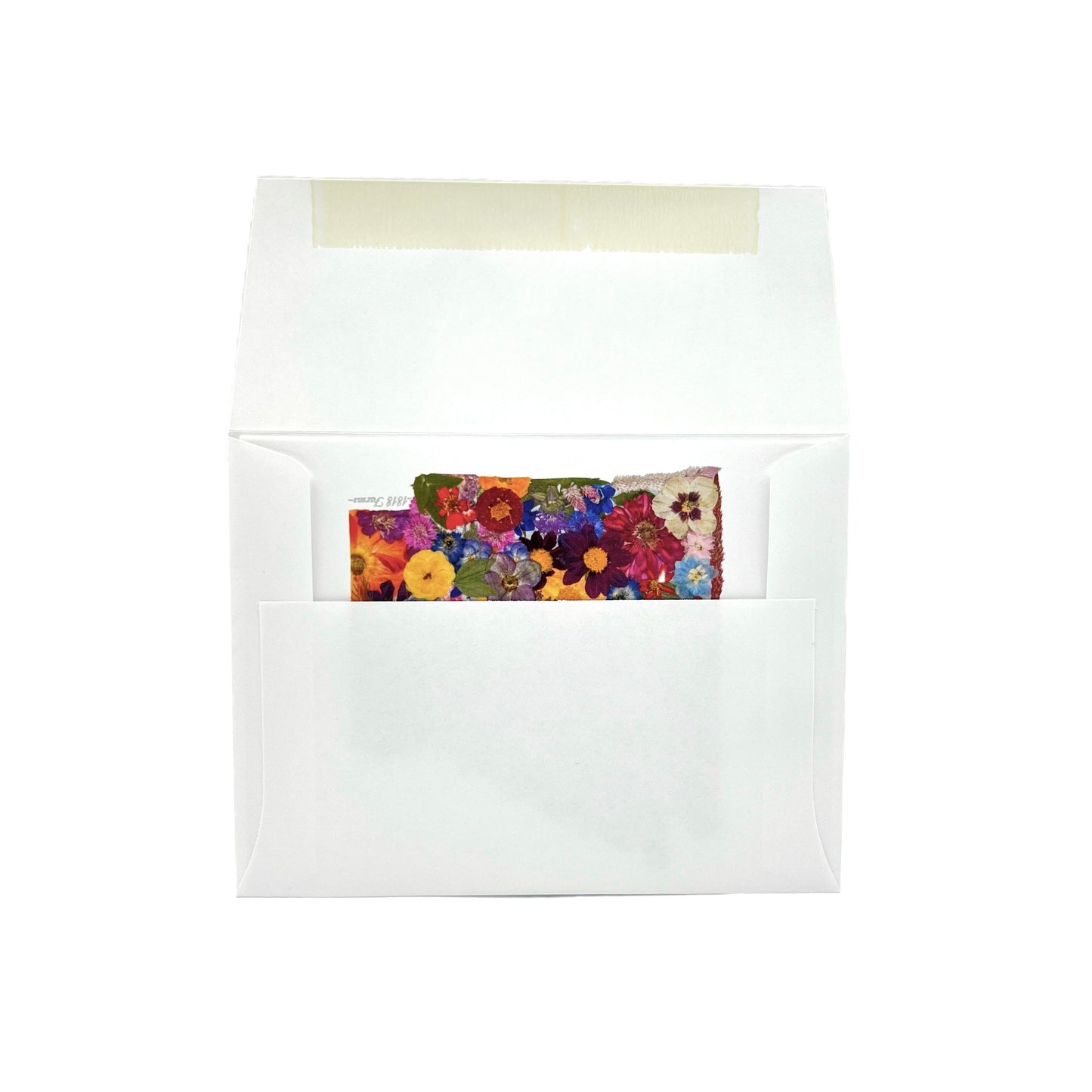 Arkansas Themed Notecards (Set of 6) - "Where I Bloom" Collection Notecard 1818 Farms