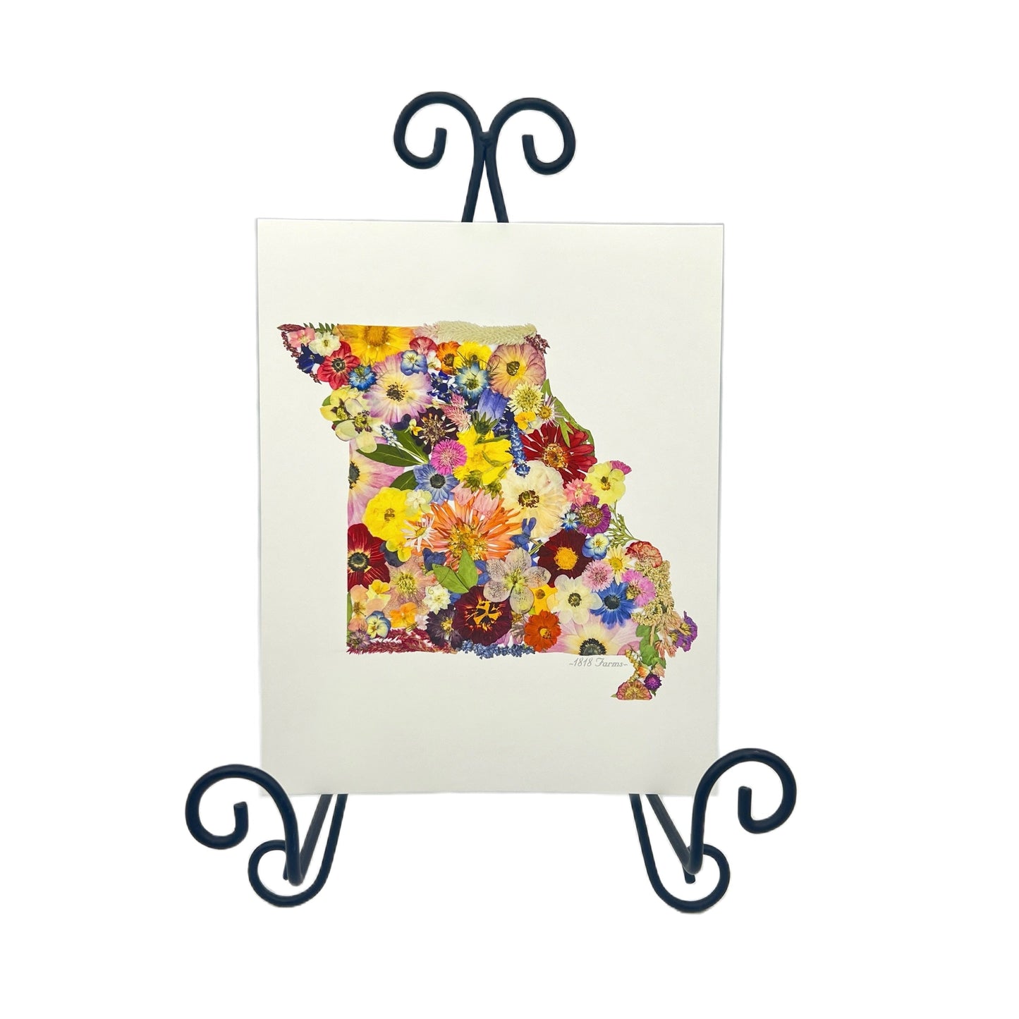 Missouri Themed Giclée Print - "Where I Bloom" Collection Giclee Art Print 1818 Farms