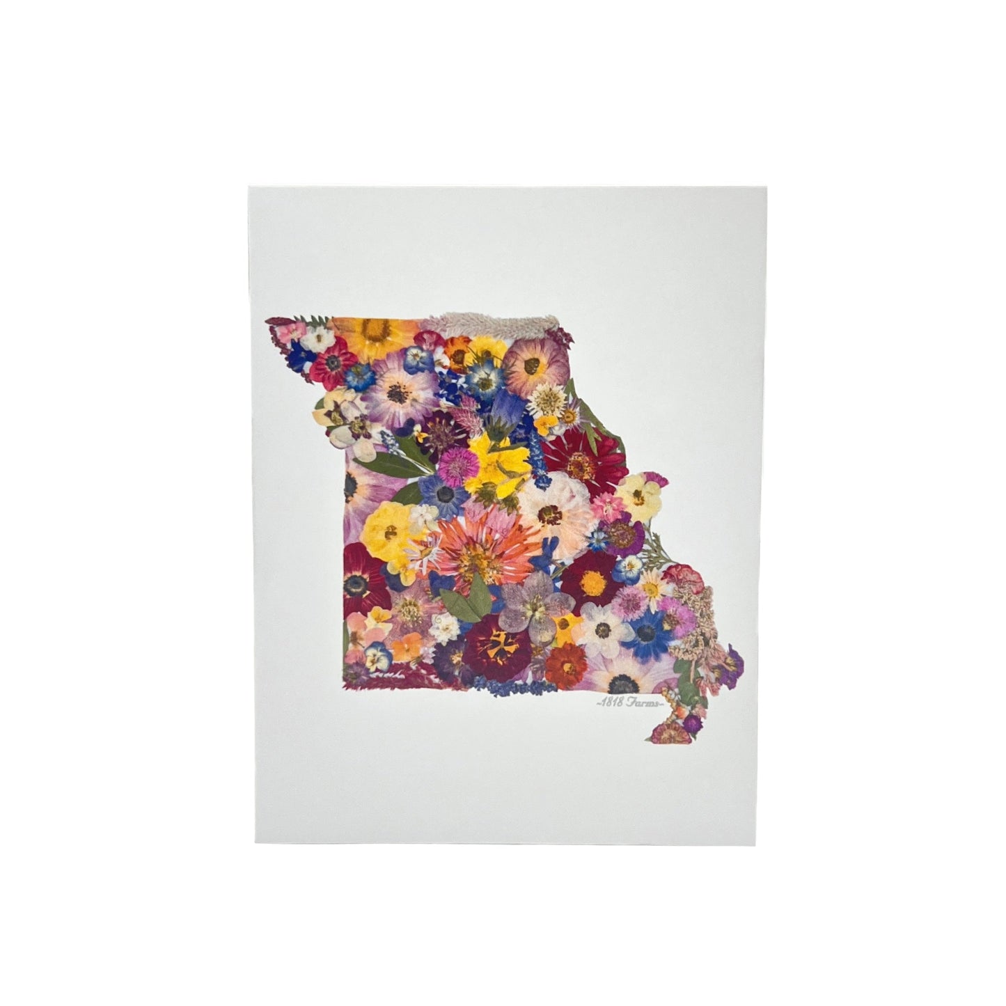 State Themed Notecards (Set of 6) - "Where I Bloom" Collection Notecard 1818 Farms Missouri