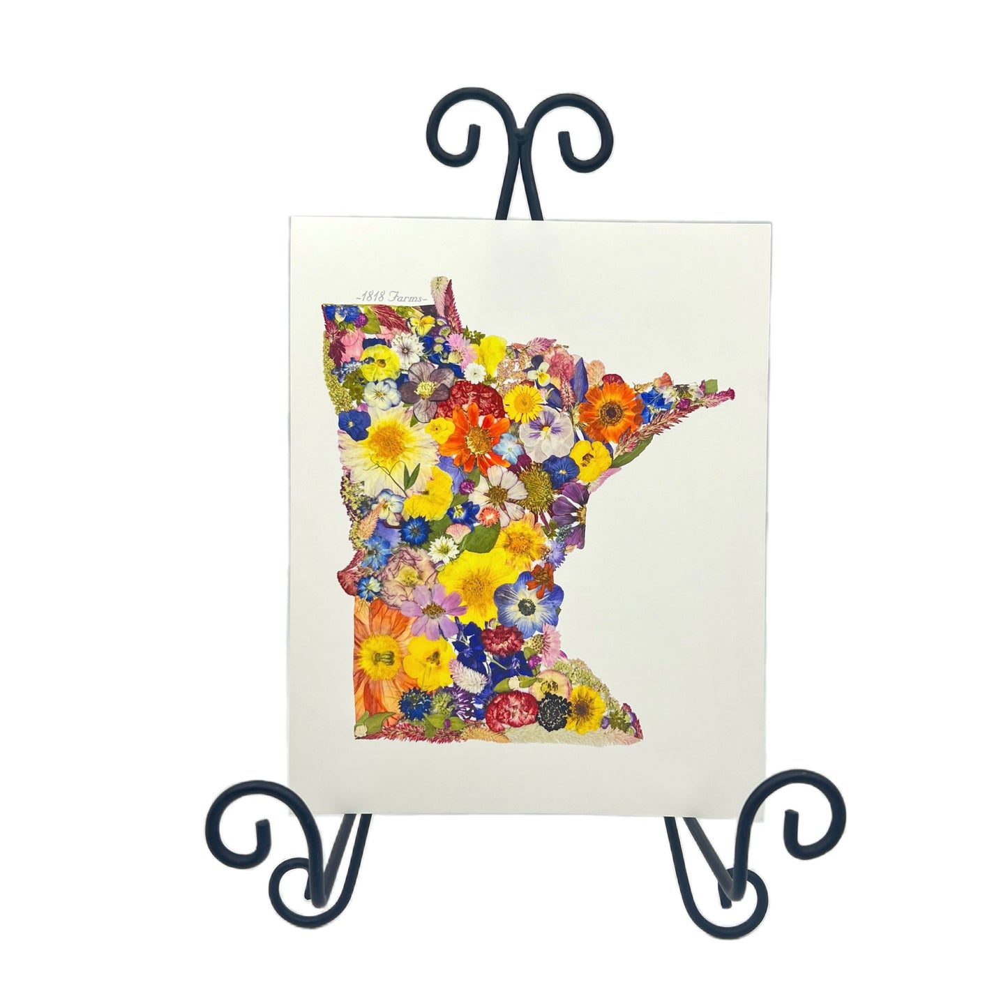 Minnesota Themed Giclée Print - "Where I Bloom" Collection Giclee Art Print 1818 Farms