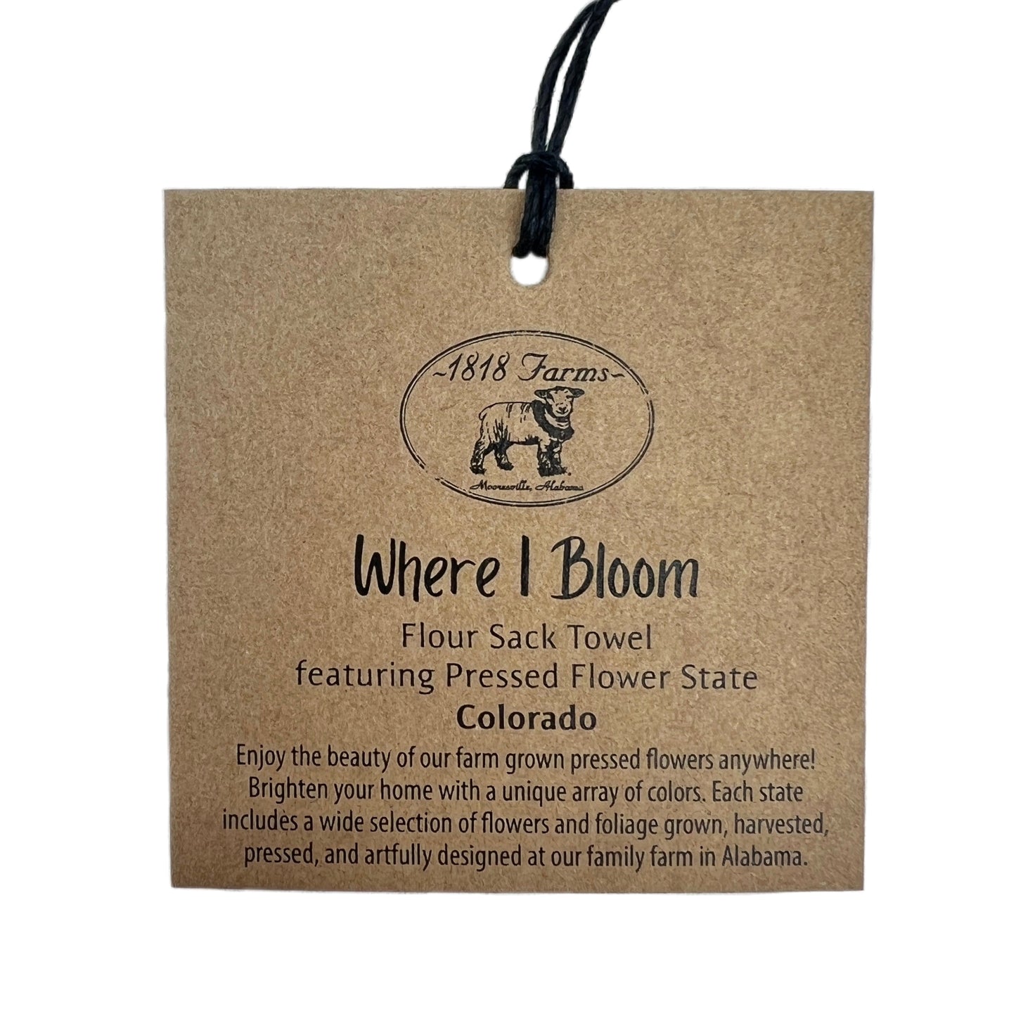 Colorado Themed Flour Sack Towel - "Where I Bloom" Collection Towel 1818 Farms