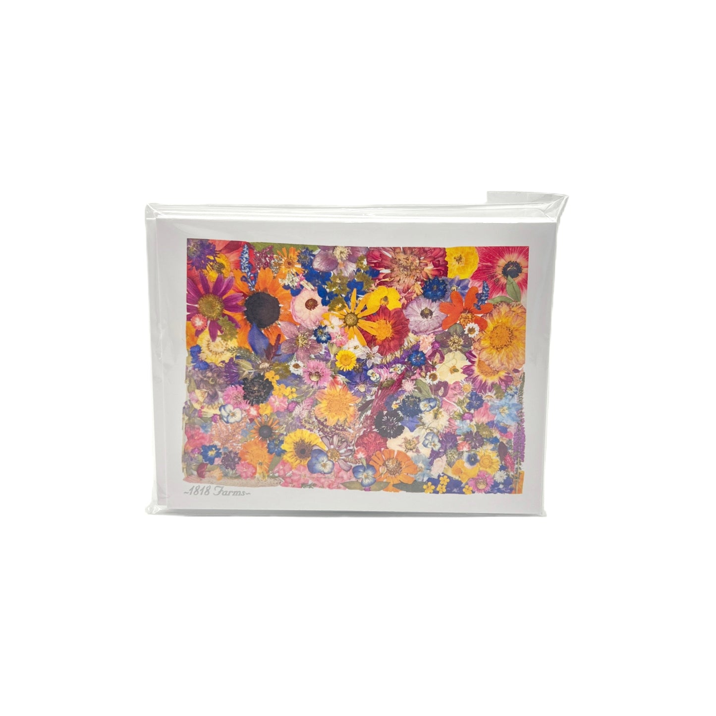 Colorado Themed Notecards (Set of 6) - "Where I Bloom" Collection Notecard 1818 Farms