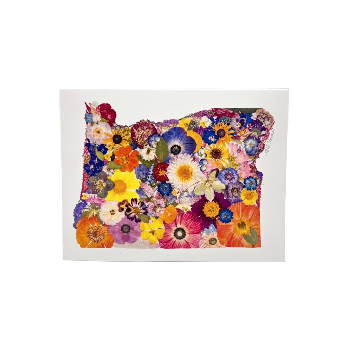 State Themed Notecards (Set of 6) - "Where I Bloom" Collection Notecard 1818 Farms Oregon