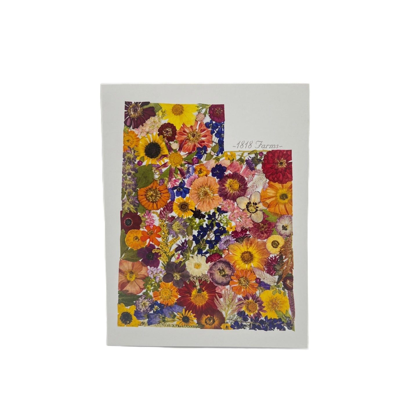 Utah Themed Notecards (Set of 6) - "Where I Bloom" Collection Notecard 1818 Farms
