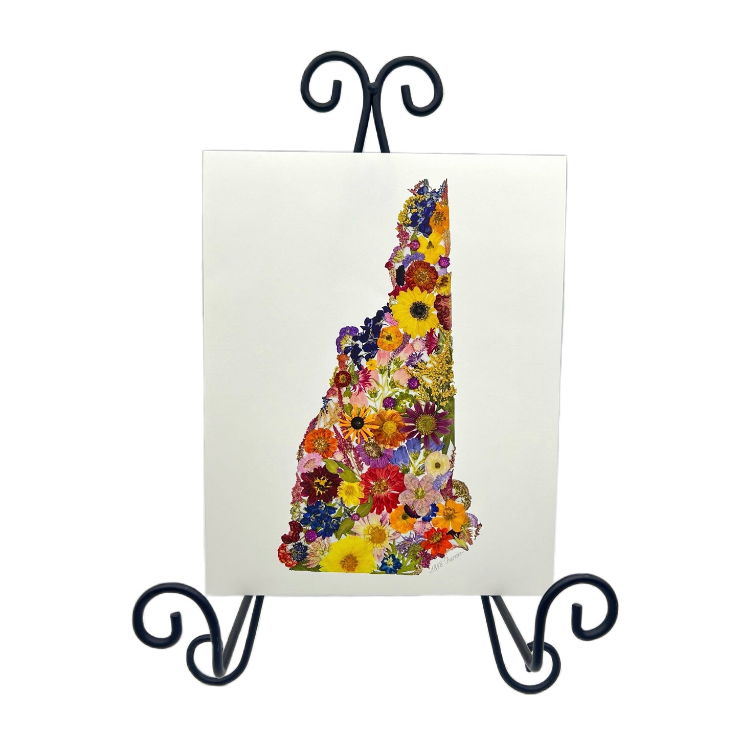 New Hampshire Themed Giclée Print - "Where I Bloom" Collection Giclee Art Print 1818 Farms