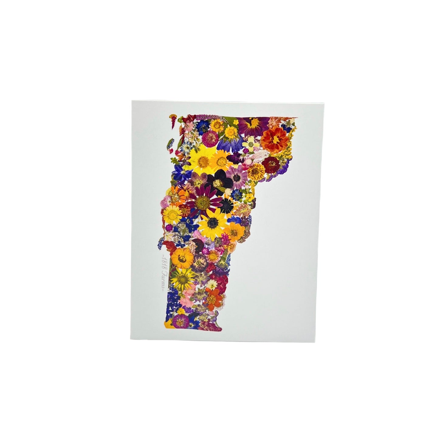 Vermont Themed Notecards (Set of 6) - "Where I Bloom" Collection Notecard 1818 Farms