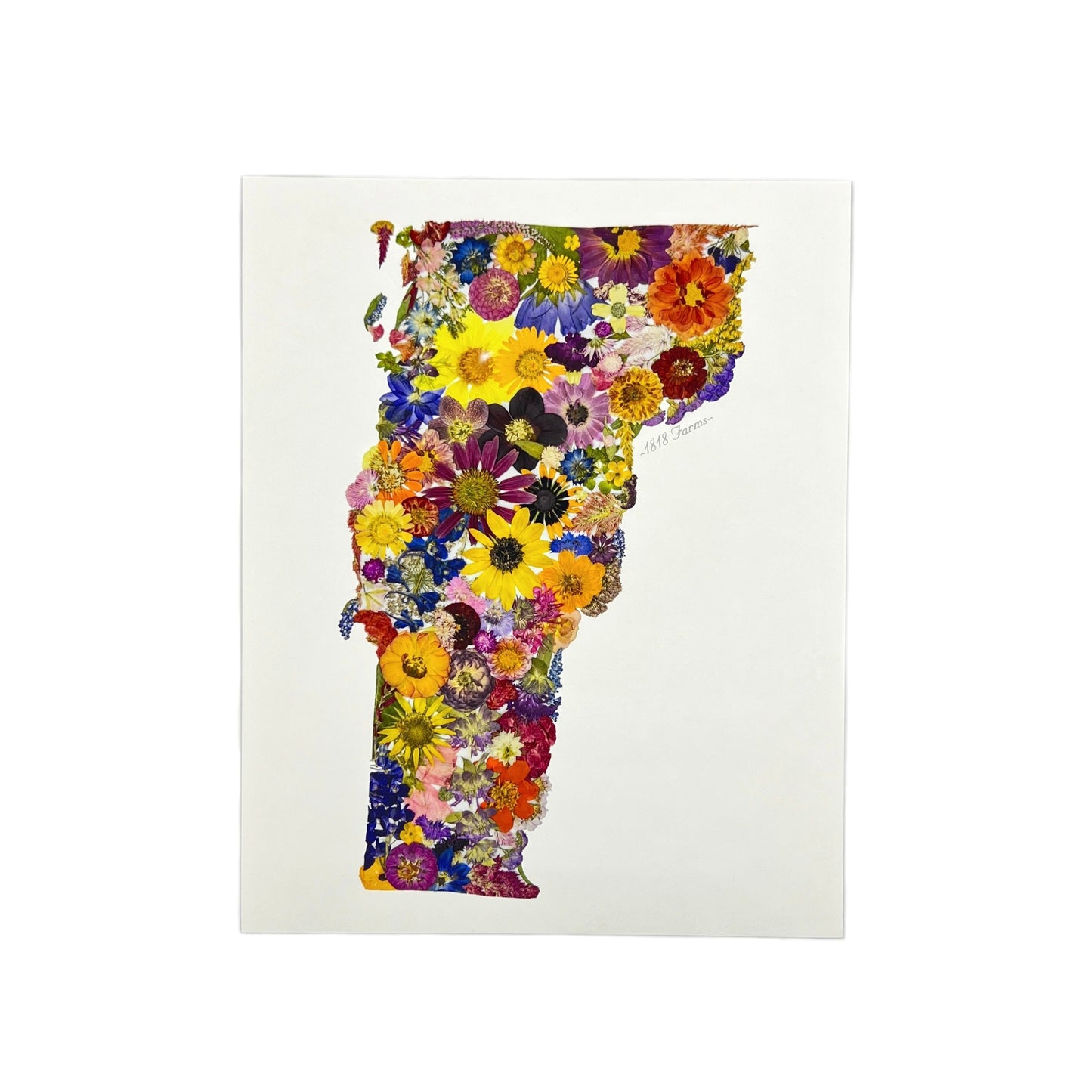 Vermont Themed Giclée Print - "Where I Bloom" Collection Giclee Art Print 1818 Farms