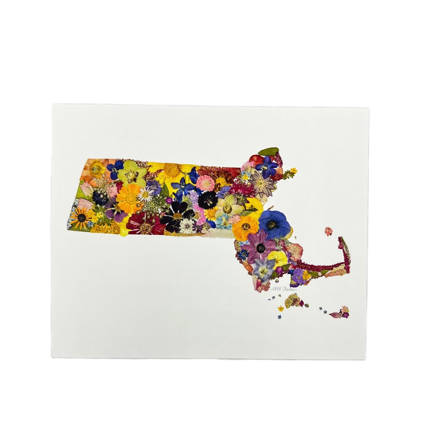 Massachusetts Themed Giclée Print - "Where I Bloom" Collection Giclee Art Print 1818 Farms