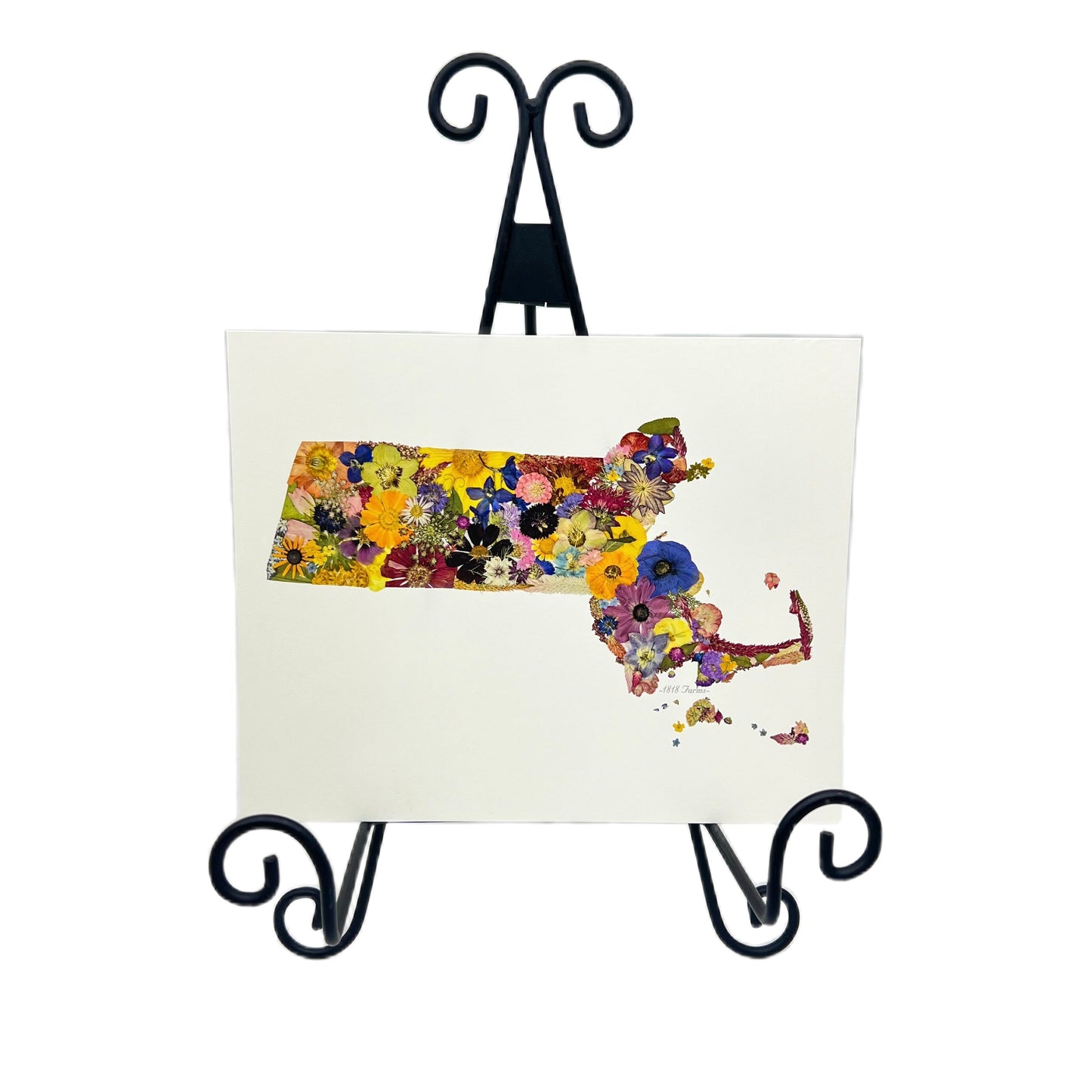 Massachusetts Themed Giclée Print - "Where I Bloom" Collection Giclee Art Print 1818 Farms