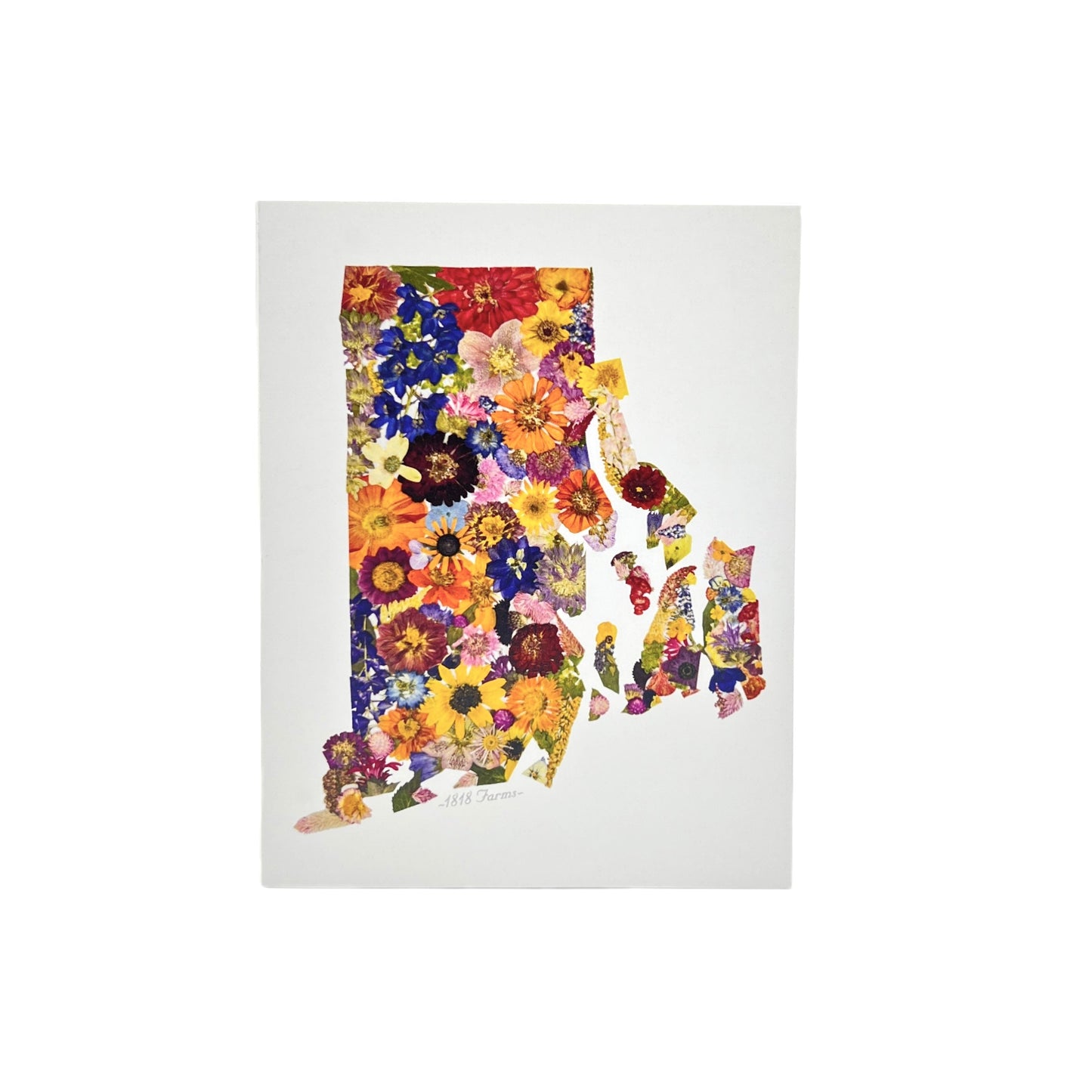 Rhode Island Themed Notecards (Set of 6) - "Where I Bloom" Collection Notecard 1818 Farms
