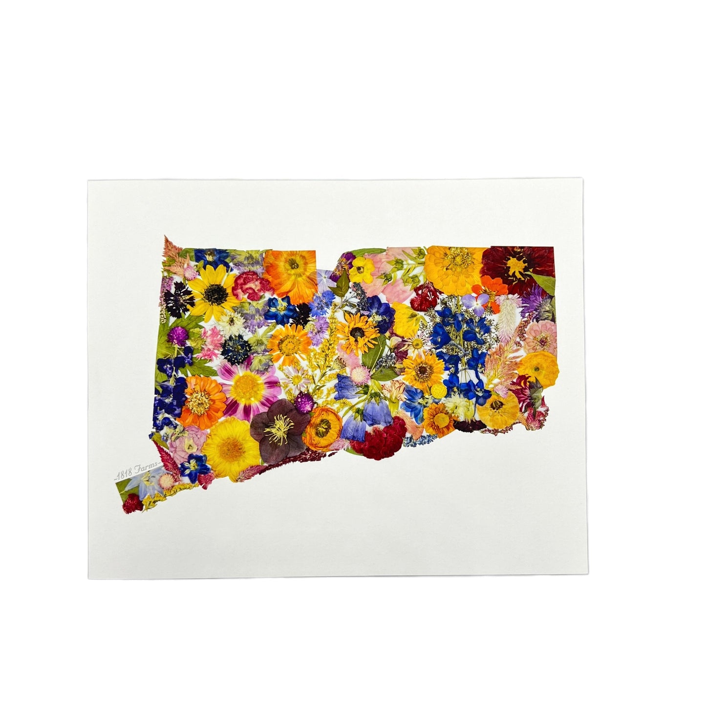 Connecticut Themed Giclée Print - "Where I Bloom" Collection Giclee Art Print 1818 Farms