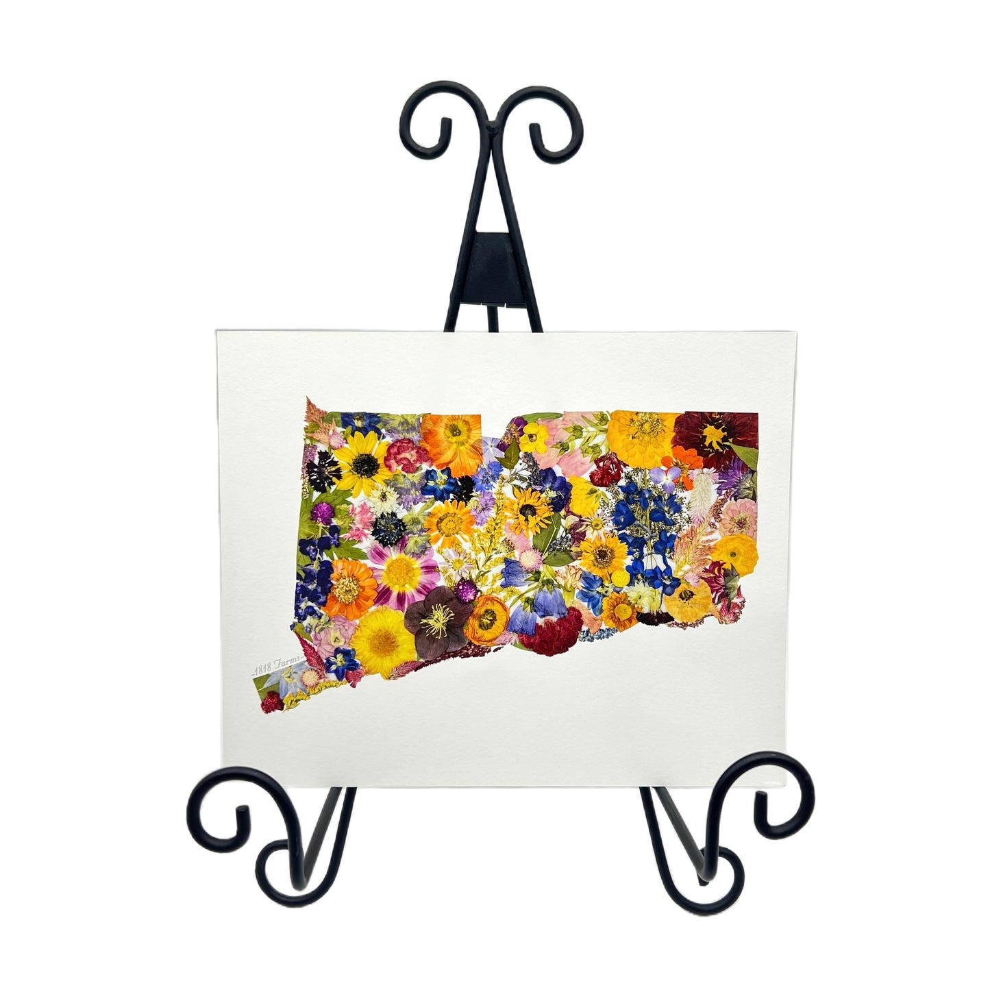 Connecticut Themed Giclée Print - "Where I Bloom" Collection Giclee Art Print 1818 Farms