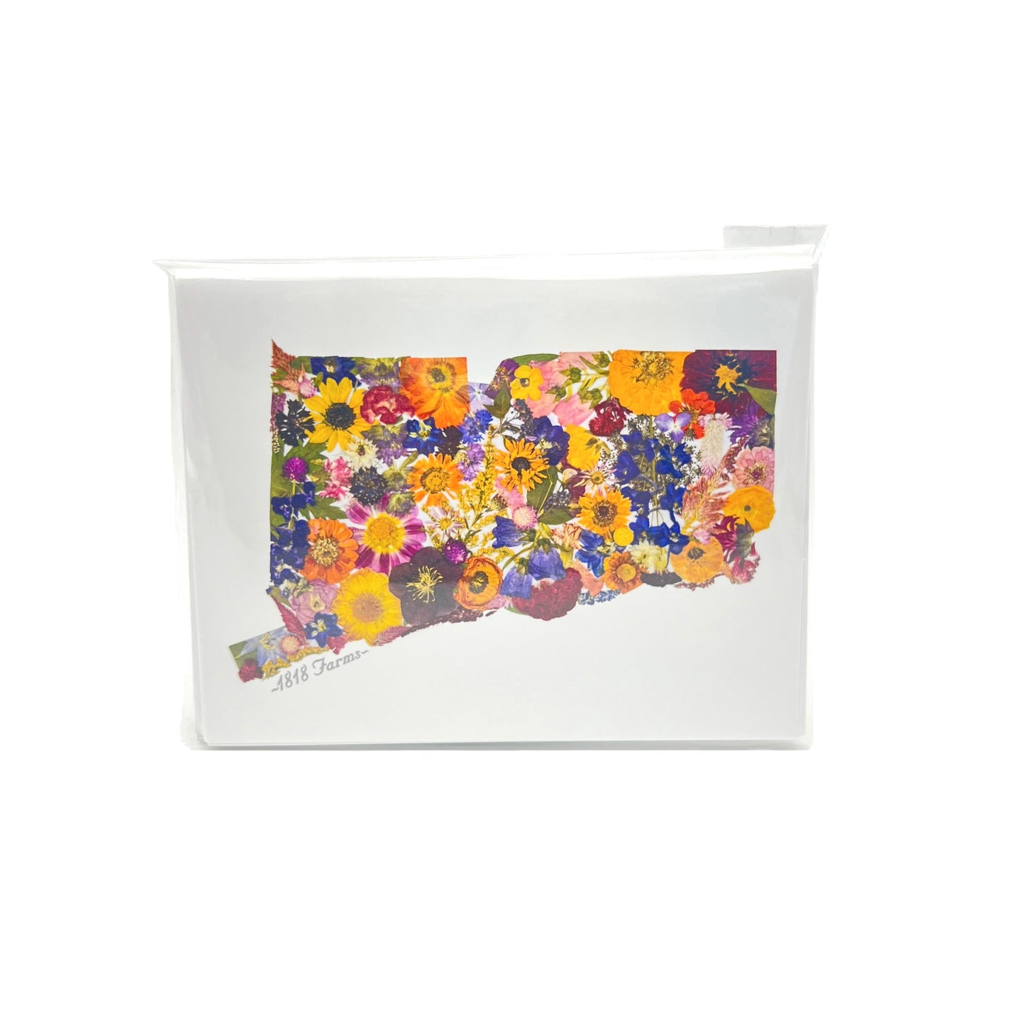 Connecticut Themed Notecards (Set of 6) - "Where I Bloom" Collection Notecard 1818 Farms