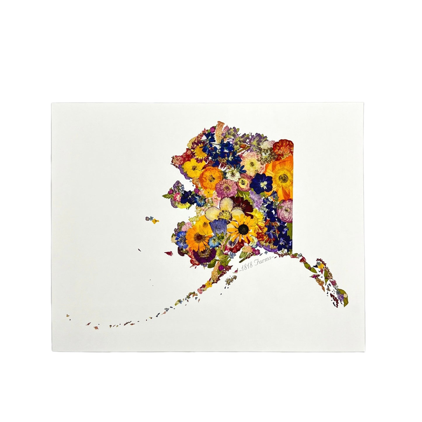 Alaska Themed Giclée Print - "Where I Bloom" Collection Giclee Art Print 1818 Farms