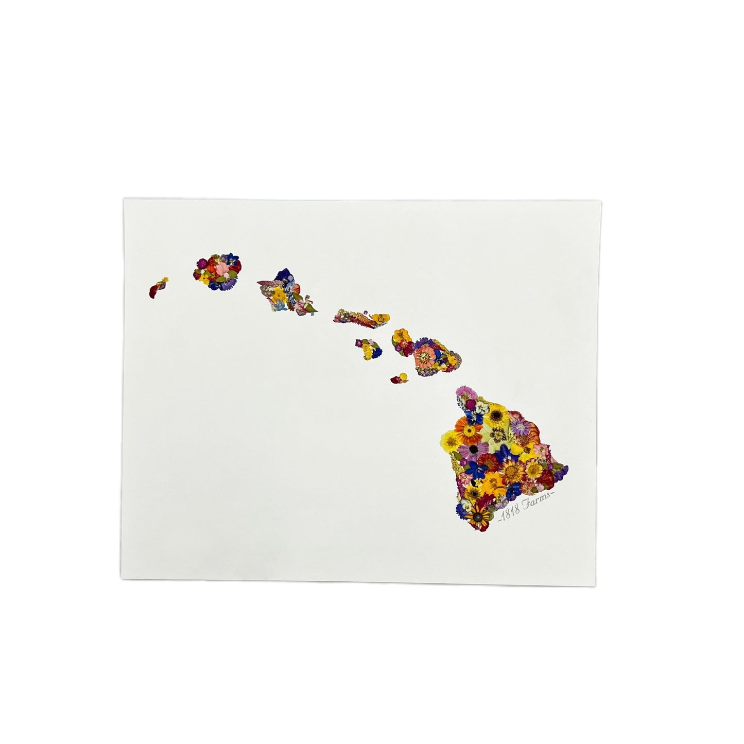 Hawaii Themed Giclée Print - "Where I Bloom" Collection Giclee Art Print 1818 Farms