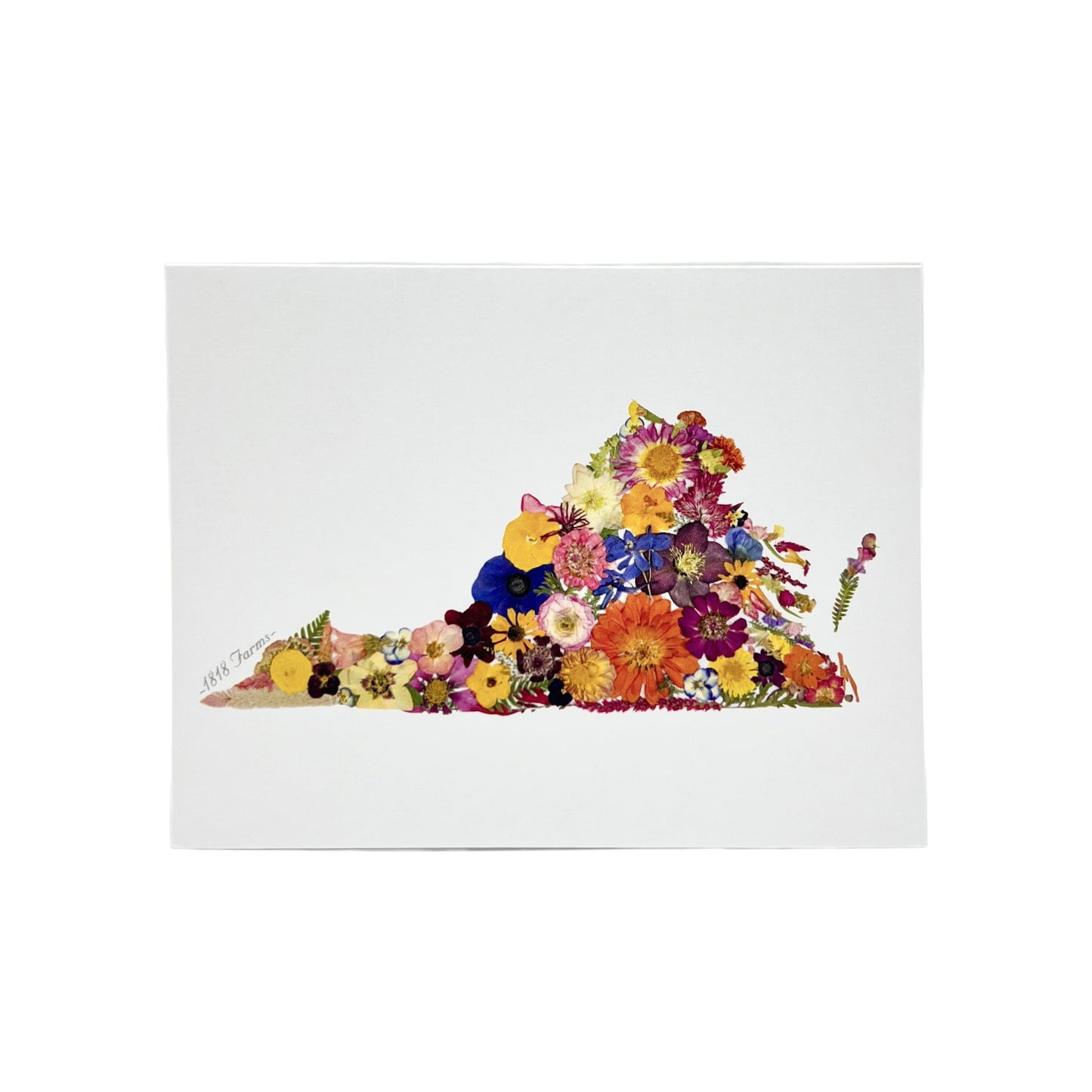 State Themed Notecards (Set of 6) - "Where I Bloom" Collection Notecard 1818 Farms Virginia