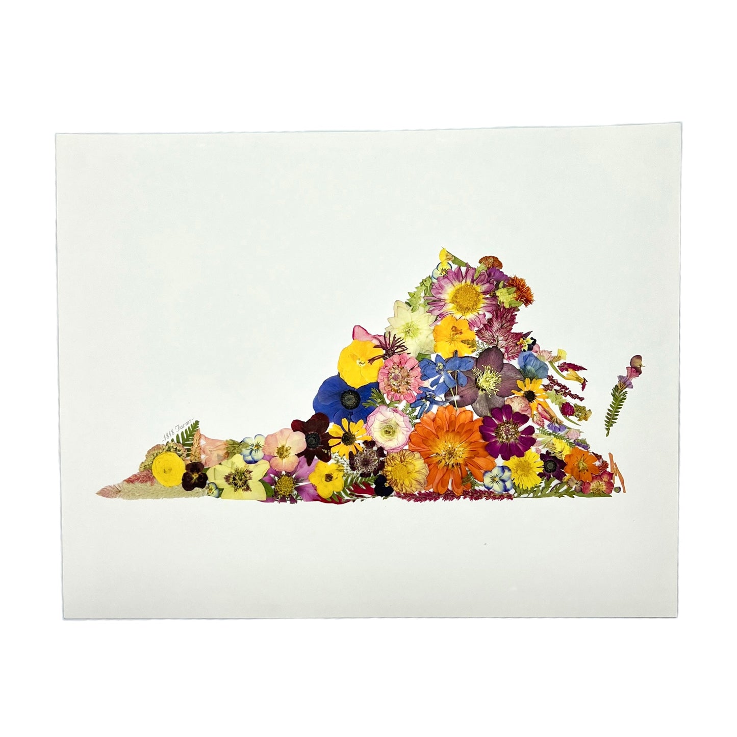 State Themed Giclée Print 11" x "14 - "Where I Bloom" Collection Giclee Art Print 1818 Farms Virginia