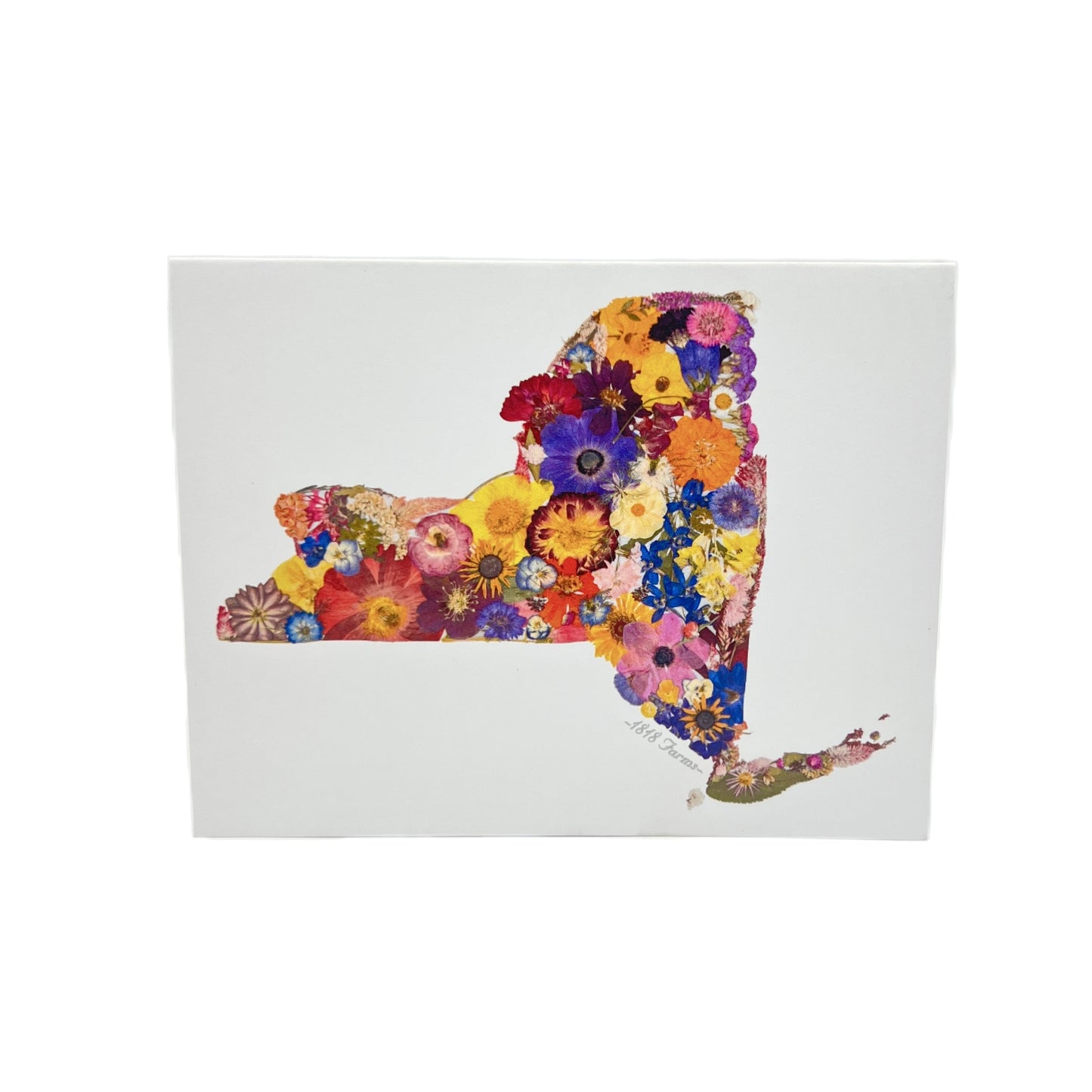 State Themed Notecards (Set of 6) - "Where I Bloom" Collection Notecard 1818 Farms New York