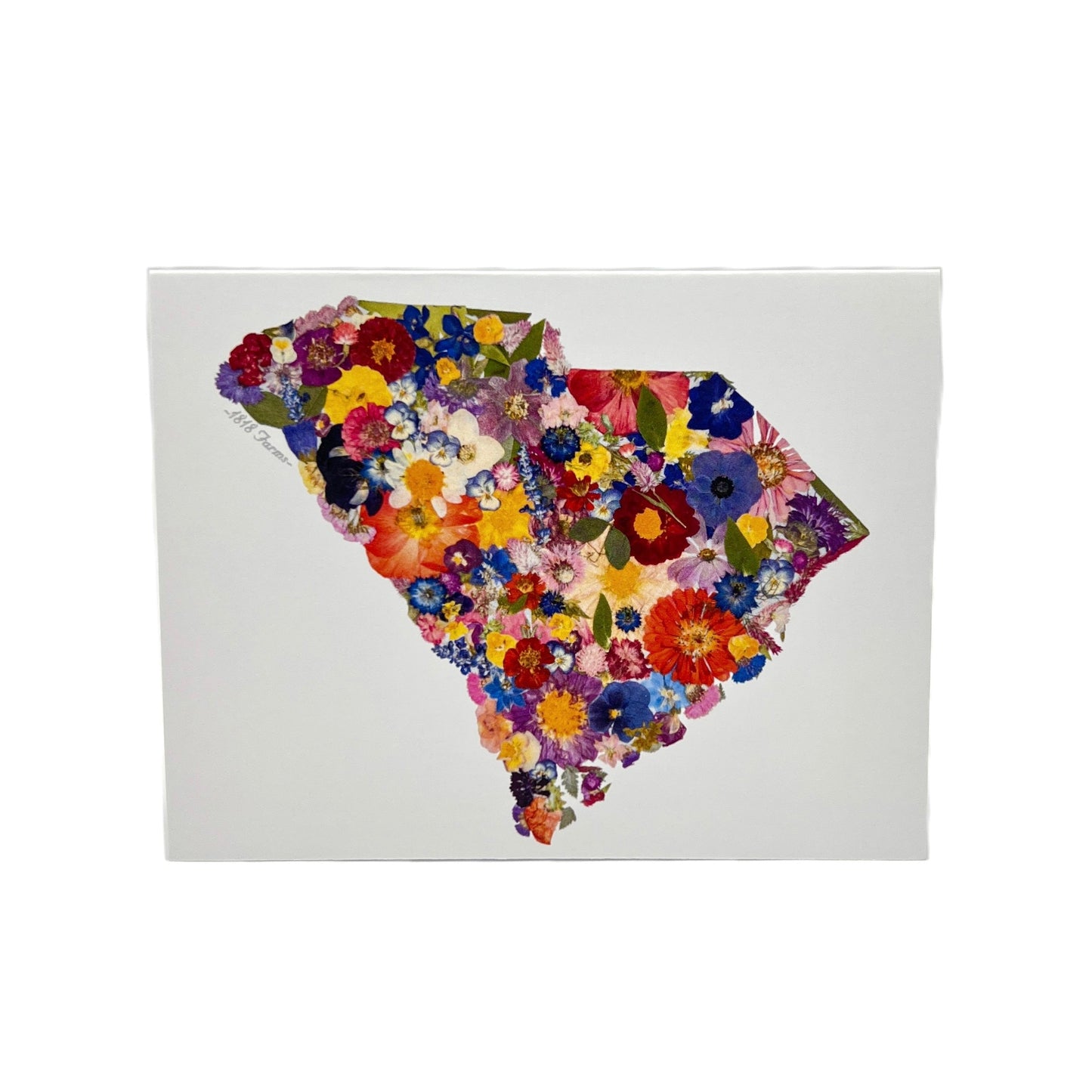 State Themed Notecards (Set of 6) - "Where I Bloom" Collection Notecard 1818 Farms South Carolina