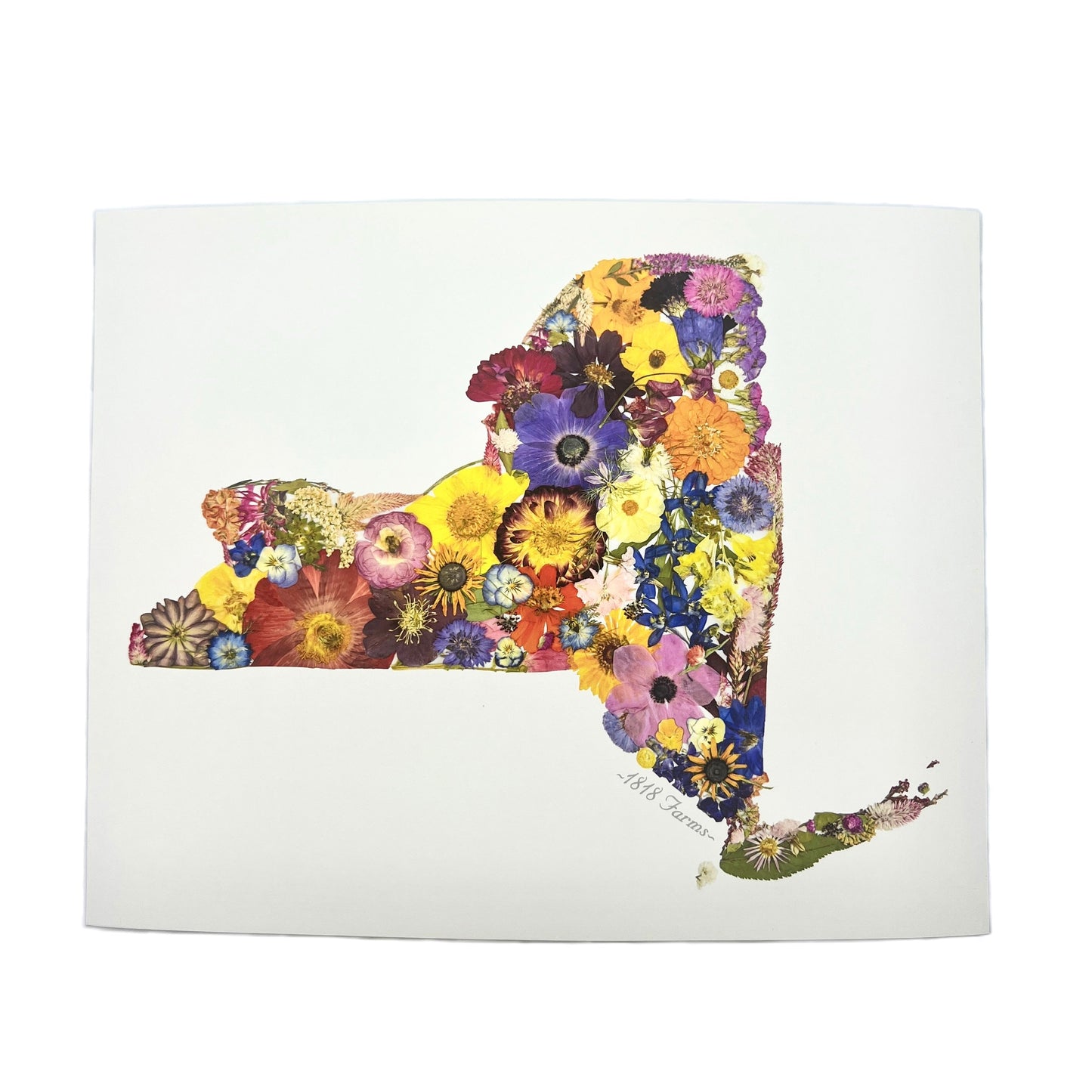 State Themed Giclée Print 11" x "14 - "Where I Bloom" Collection Giclee Art Print 1818 Farms New York