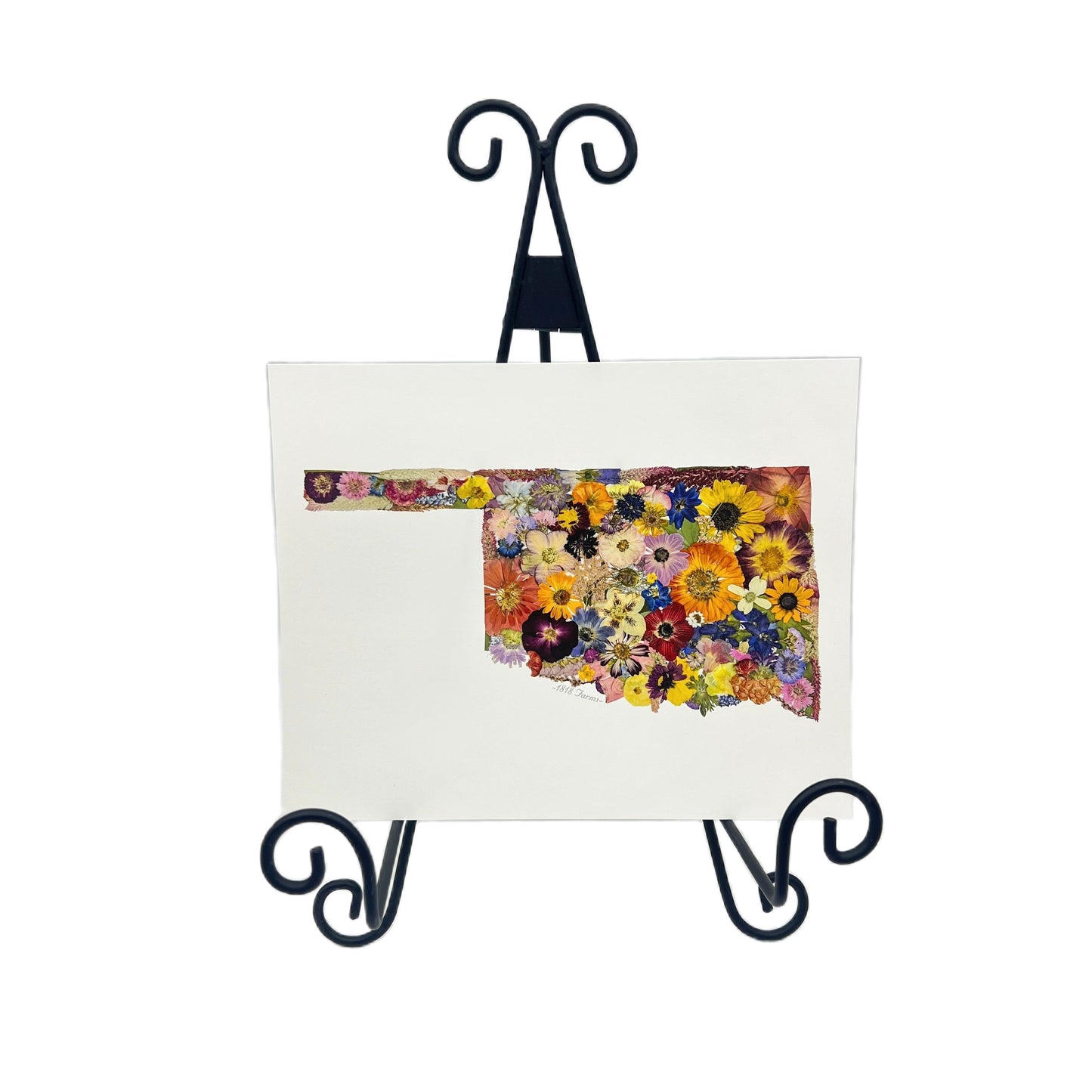Oklahoma Themed Giclée Print - "Where I Bloom" Collection Giclee Art Print 1818 Farms