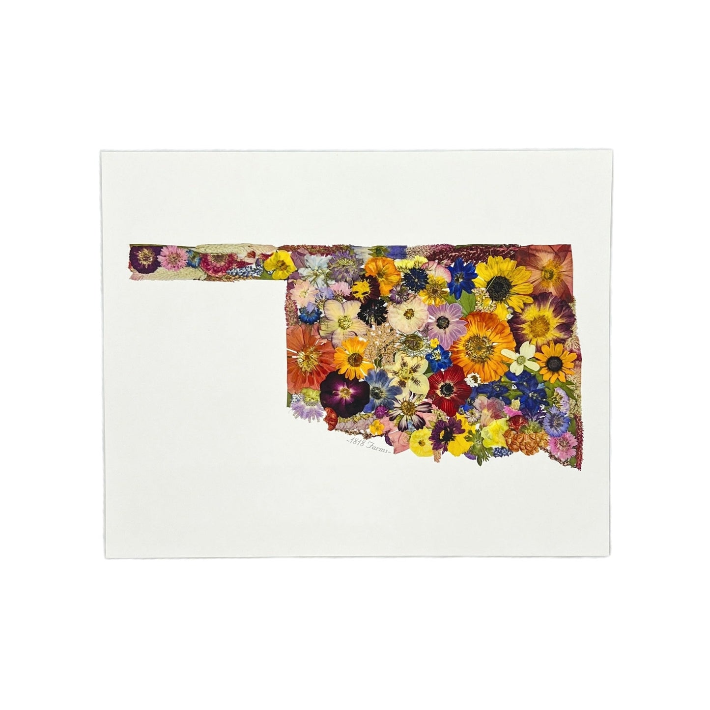 State Themed Giclée Print 11" x "14 - "Where I Bloom" Collection Giclee Art Print 1818 Farms Oklahoma
