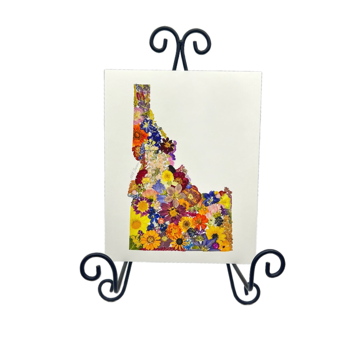 Idaho Themed Giclée Print - "Where I Bloom" Collection Giclee Art Print 1818 Farms