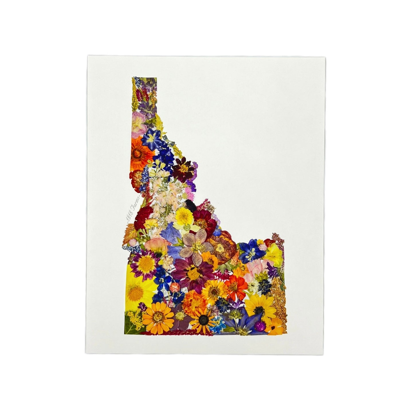 State Themed Giclée Print 11" x "14 - "Where I Bloom" Collection Giclee Art Print 1818 Farms Idaho