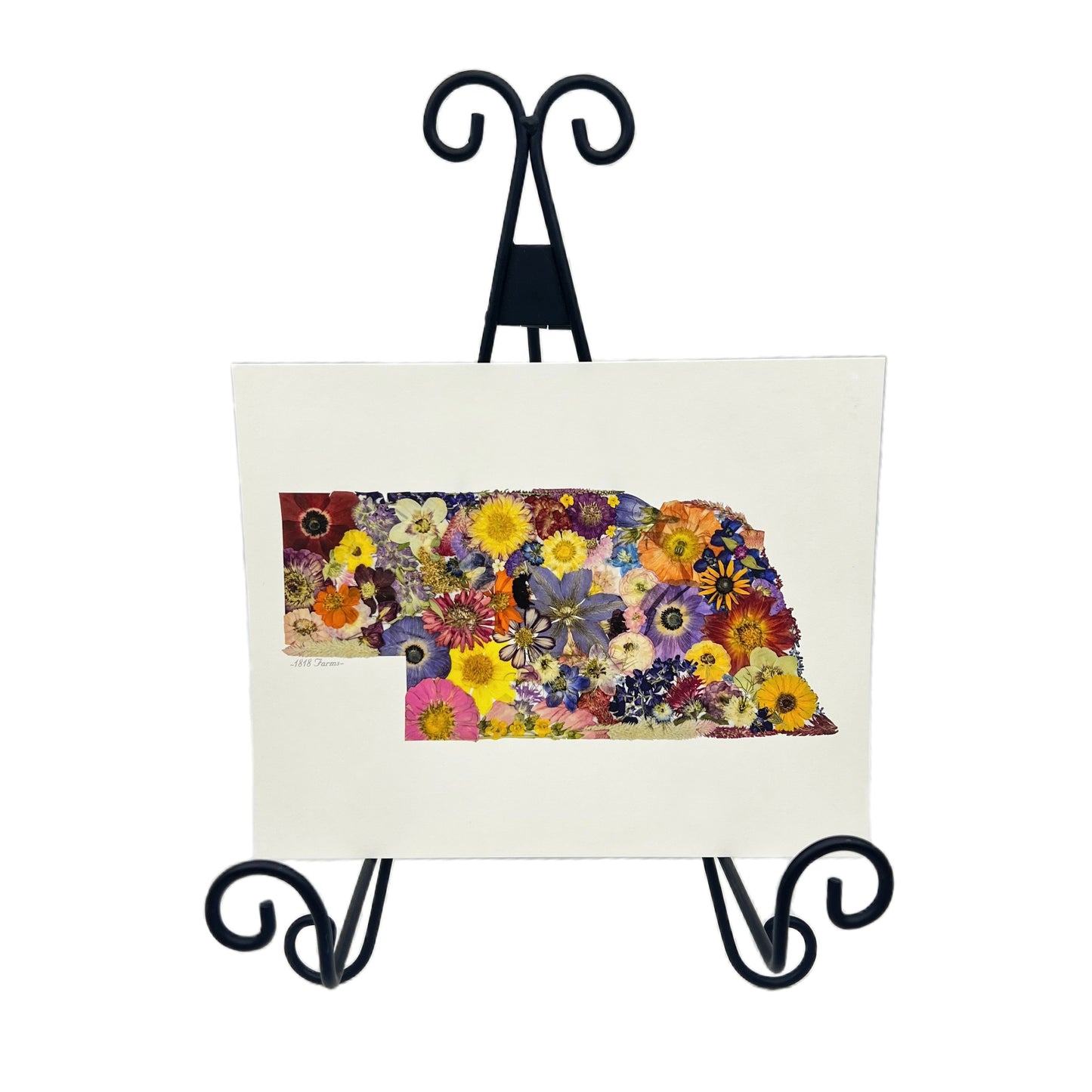 Nebraska Themed Giclée Print - "Where I Bloom" Collection Giclee Art Print 1818 Farms