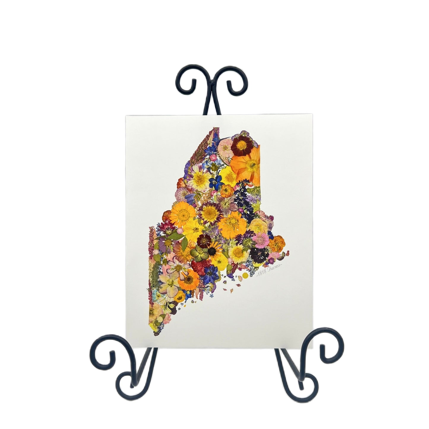 Maine Themed Giclée Print - "Where I Bloom" Collection Giclee Art Print 1818 Farms