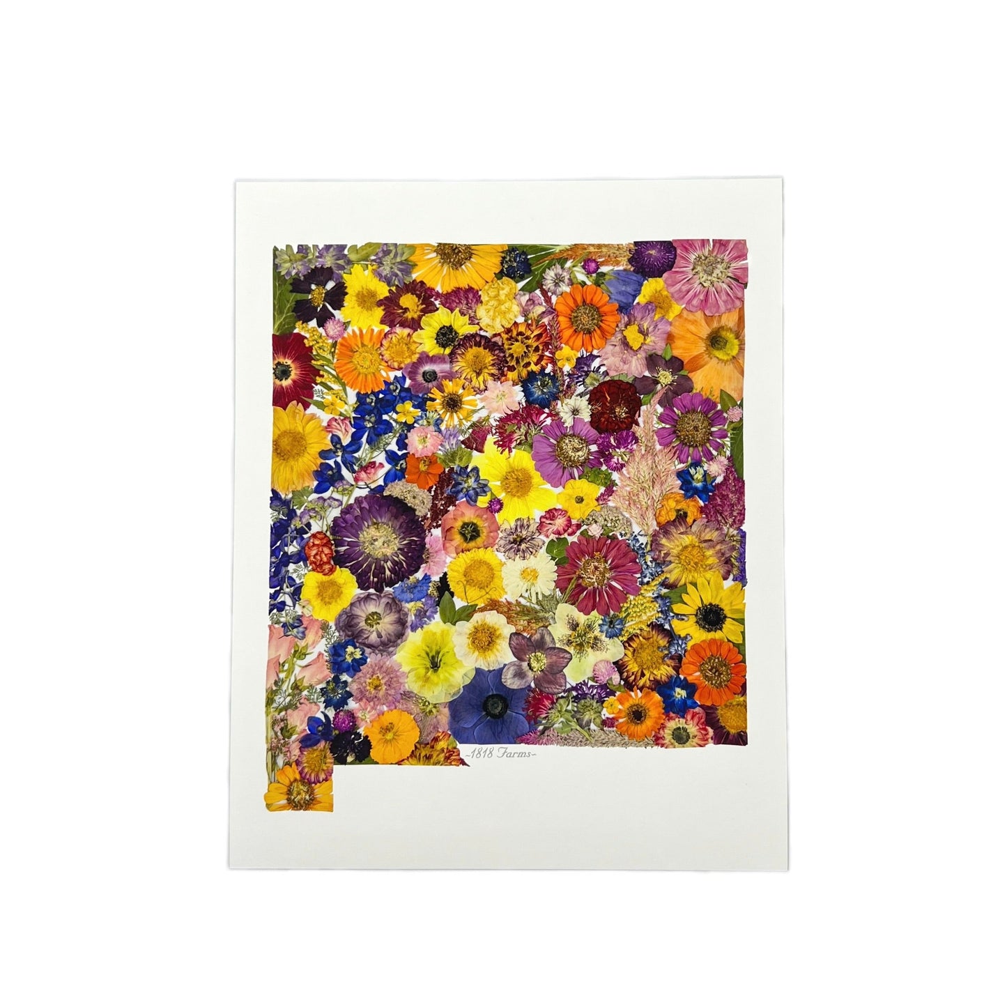 New Mexico Themed Giclée Print - "Where I Bloom" Collection Giclee Art Print 1818 Farms