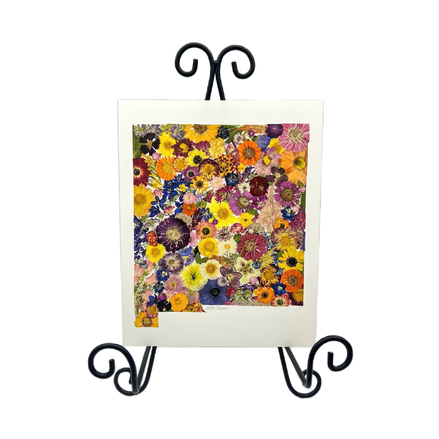 New Mexico Themed Giclée Print - "Where I Bloom" Collection Giclee Art Print 1818 Farms
